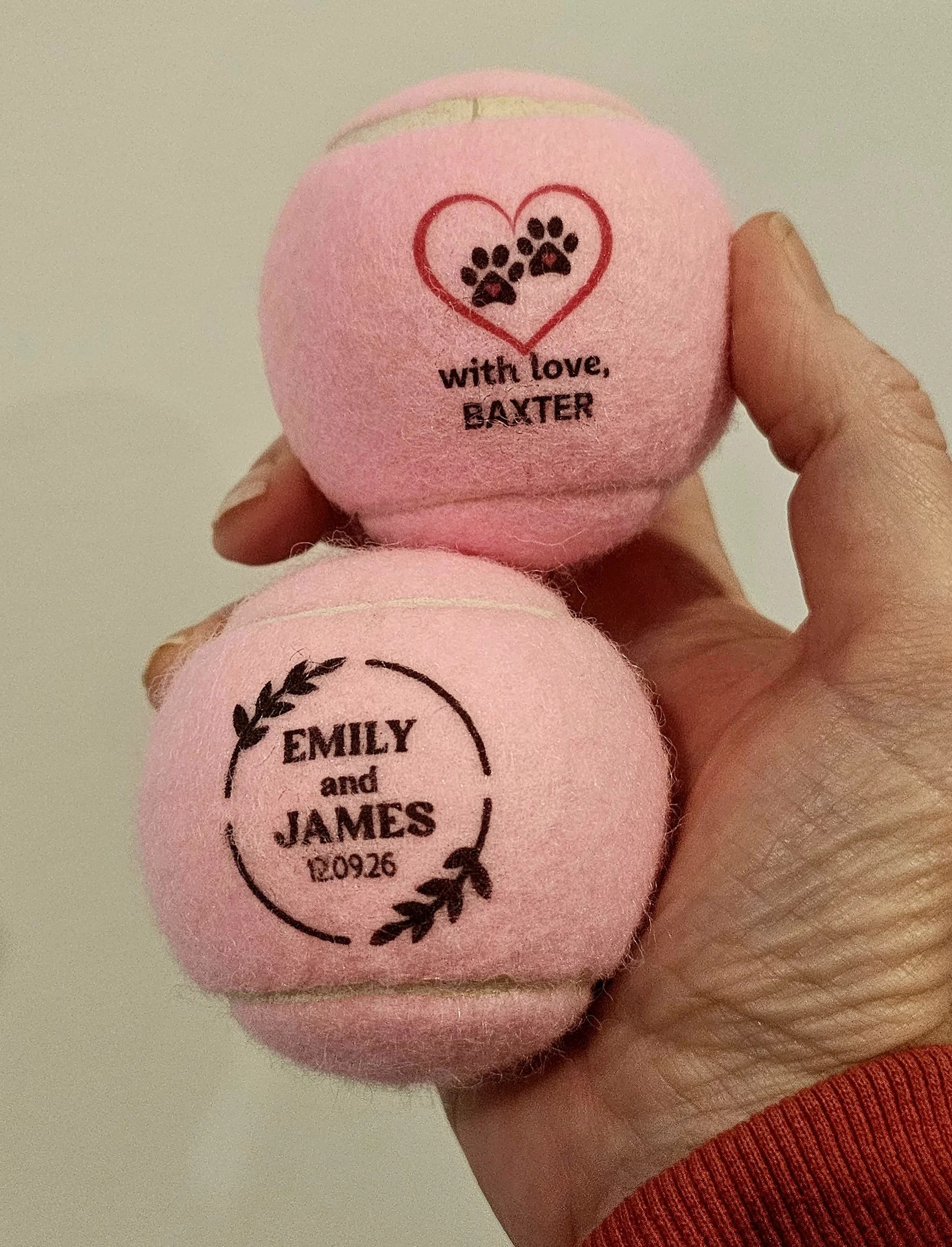Promotional/ Novelty/Dog Balls -