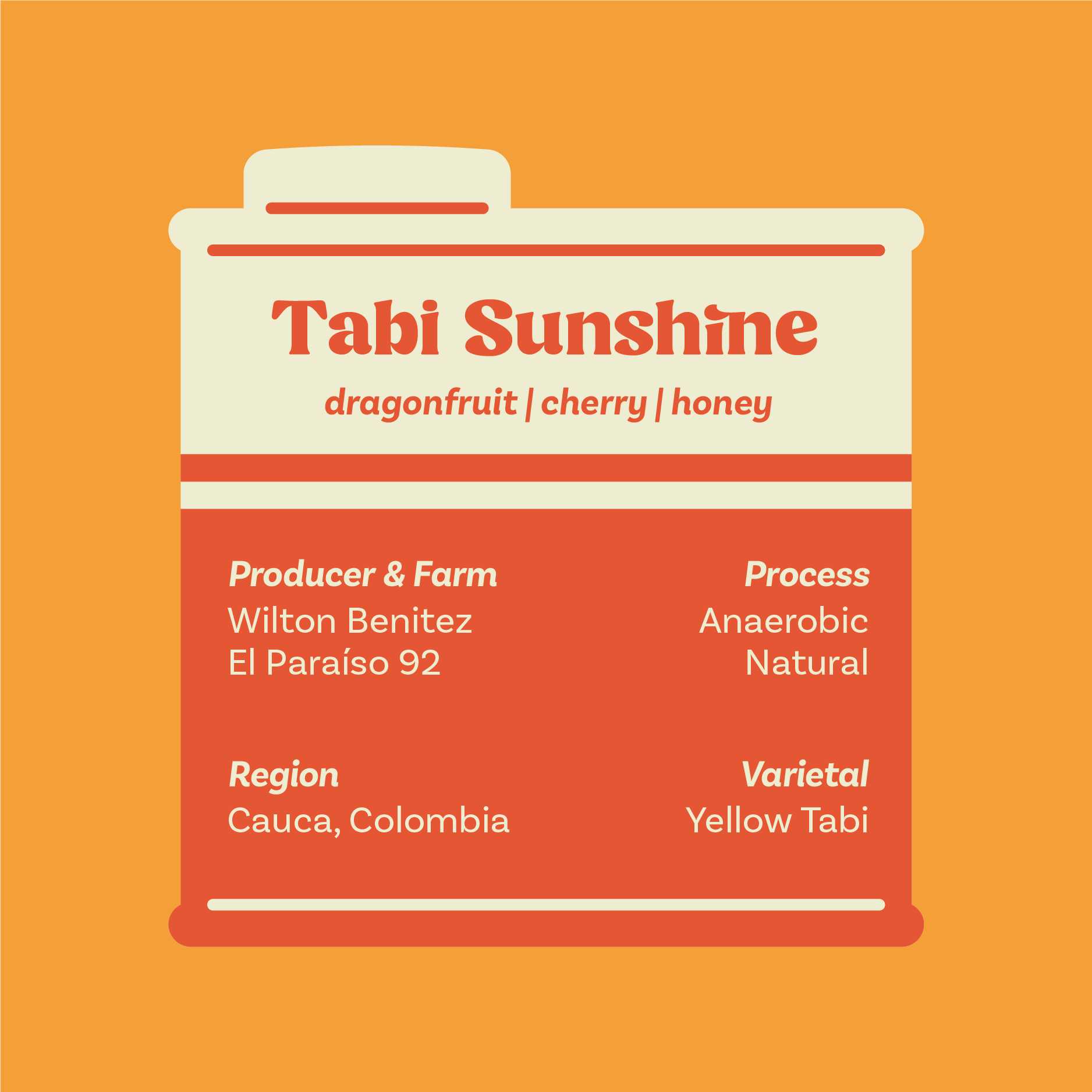 Tabi Sunshine