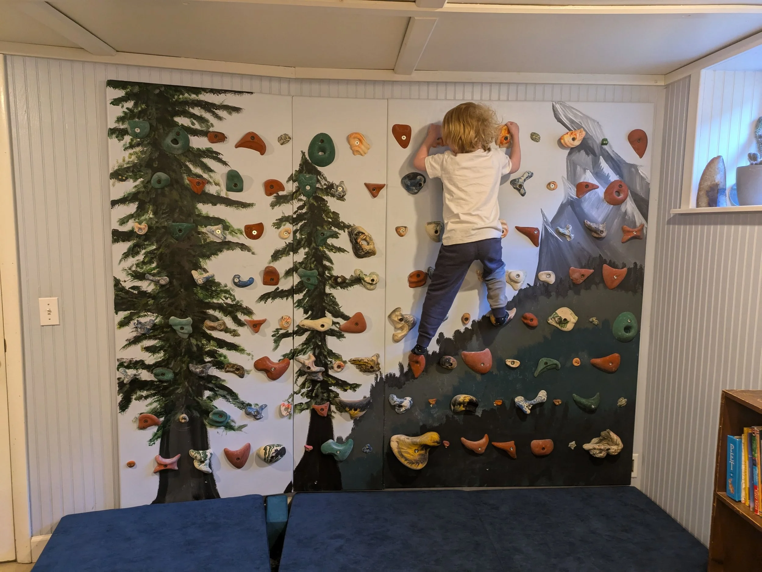 Helpful Neighbor project: Climbing wall