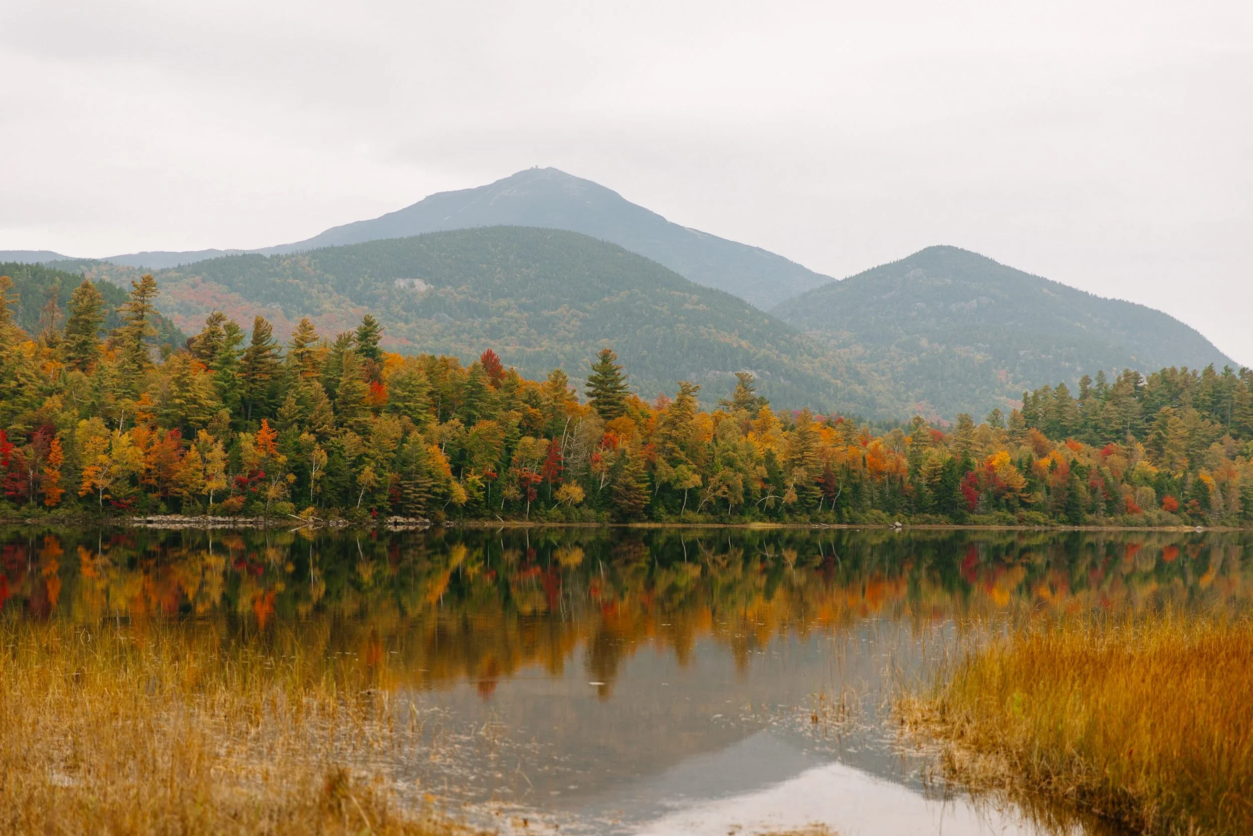 A scenic view of a mountain range with a forest in fall colors, reflected in a calm lake with a shoreline of grass and small rocks.