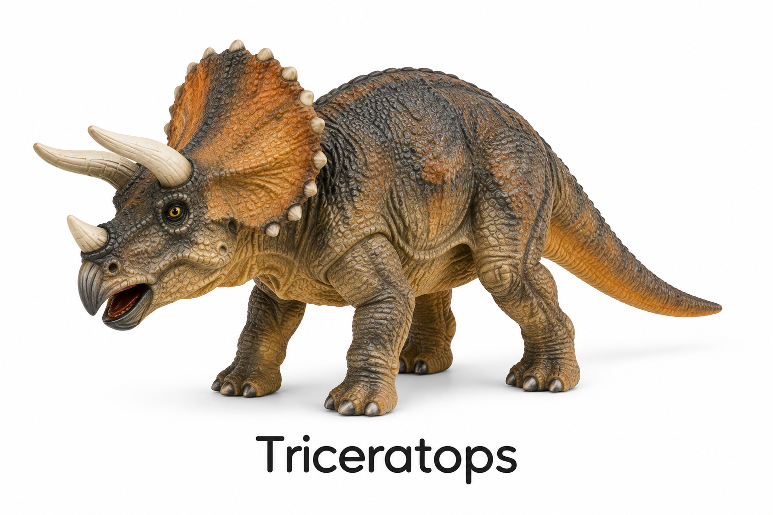 Triceratops.png