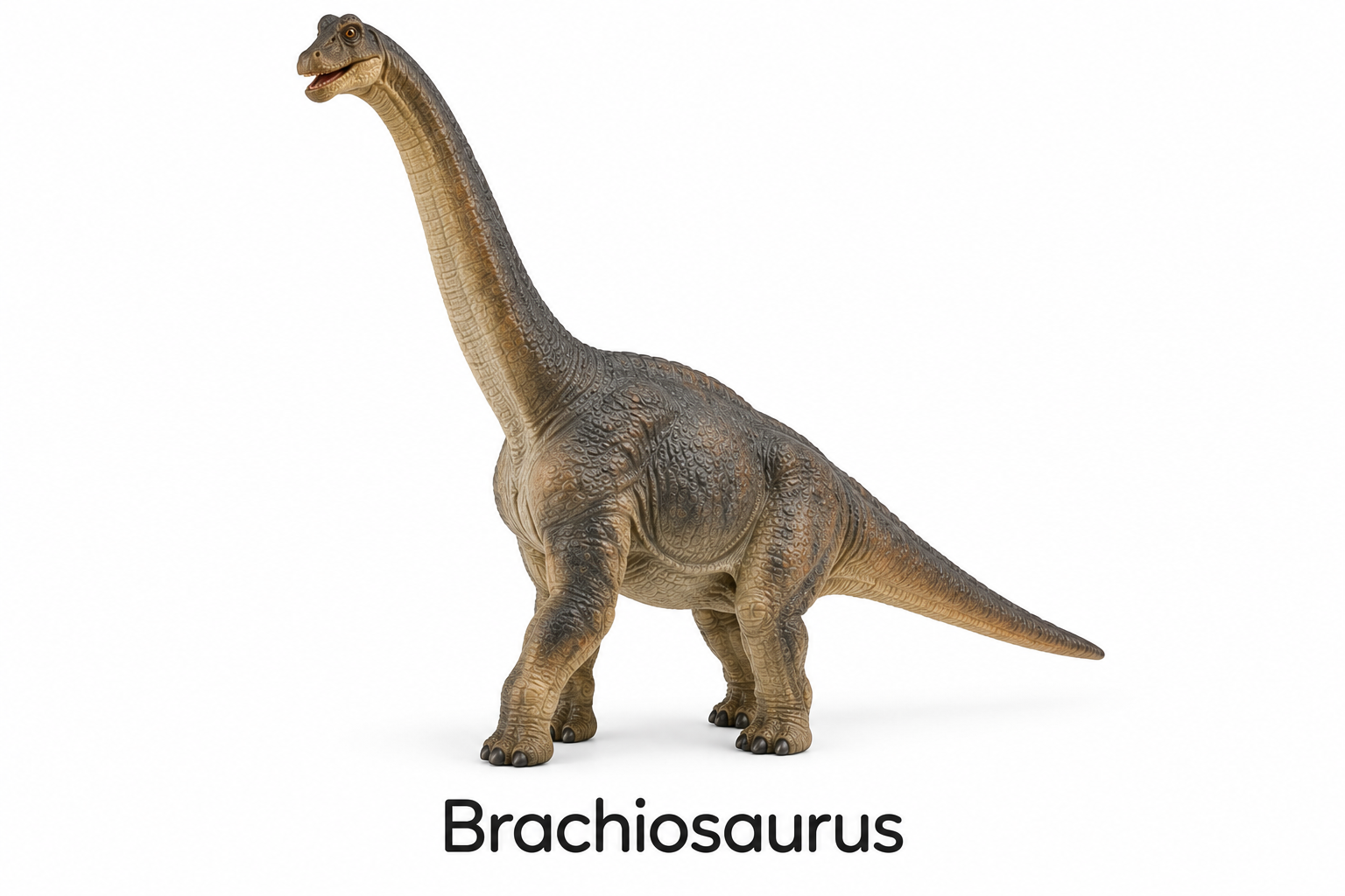 Brachiosaurus.png