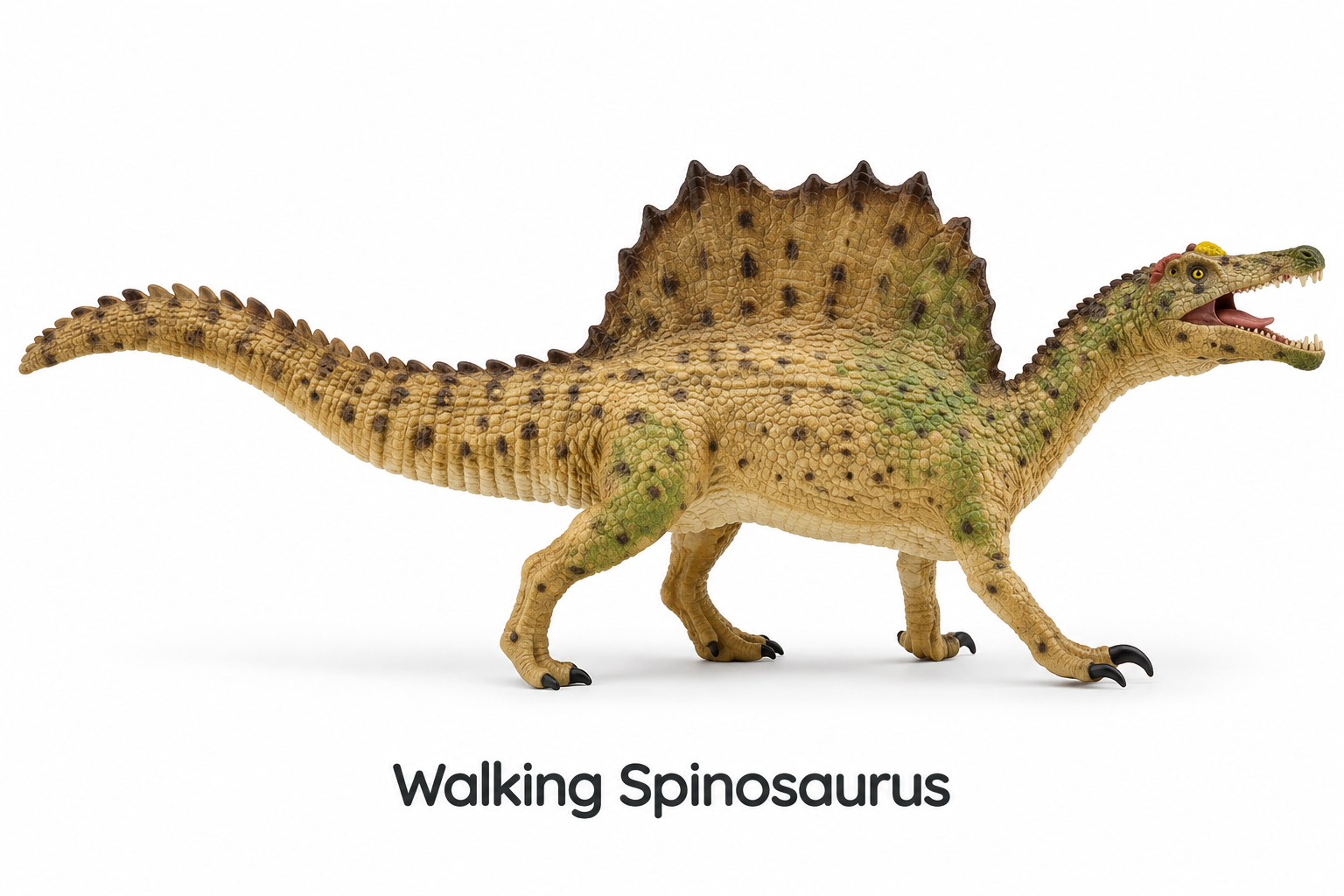 Walking Spinosaurus.png