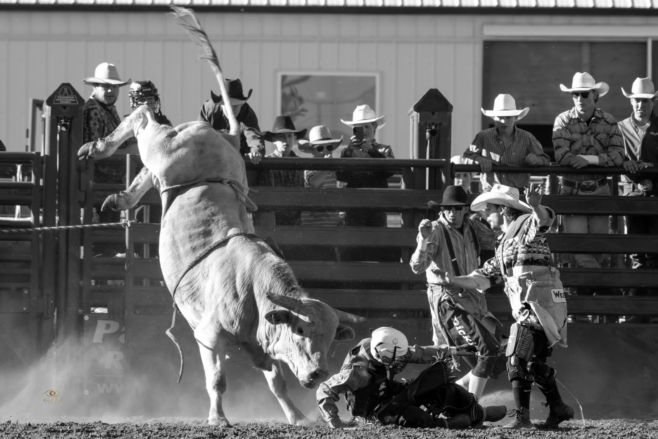 Wetaskiwin Rawhide Rodeo Day 2 -12.jpg