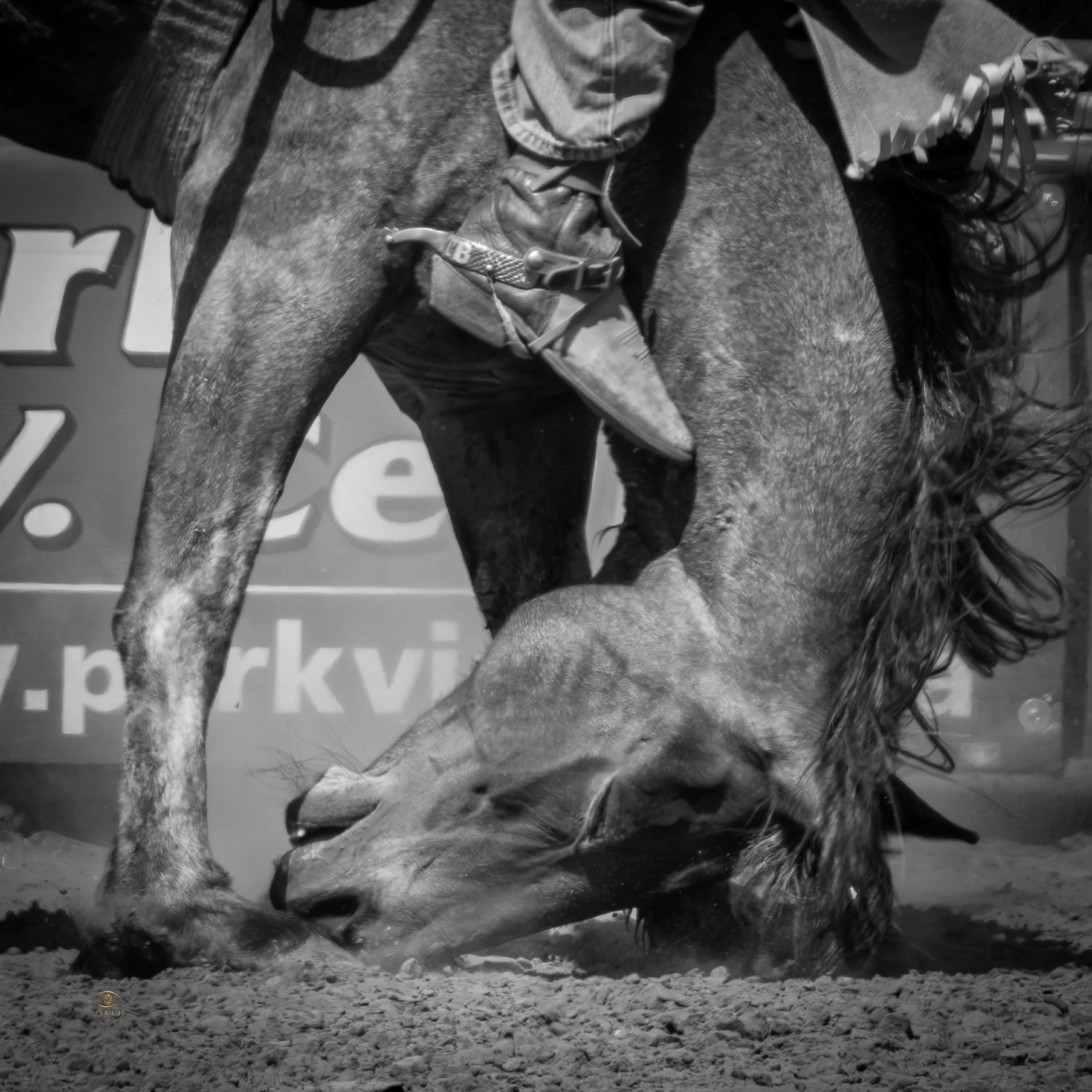 Wetaskiwin Rawhide Rodeo Day 2 -51.jpg