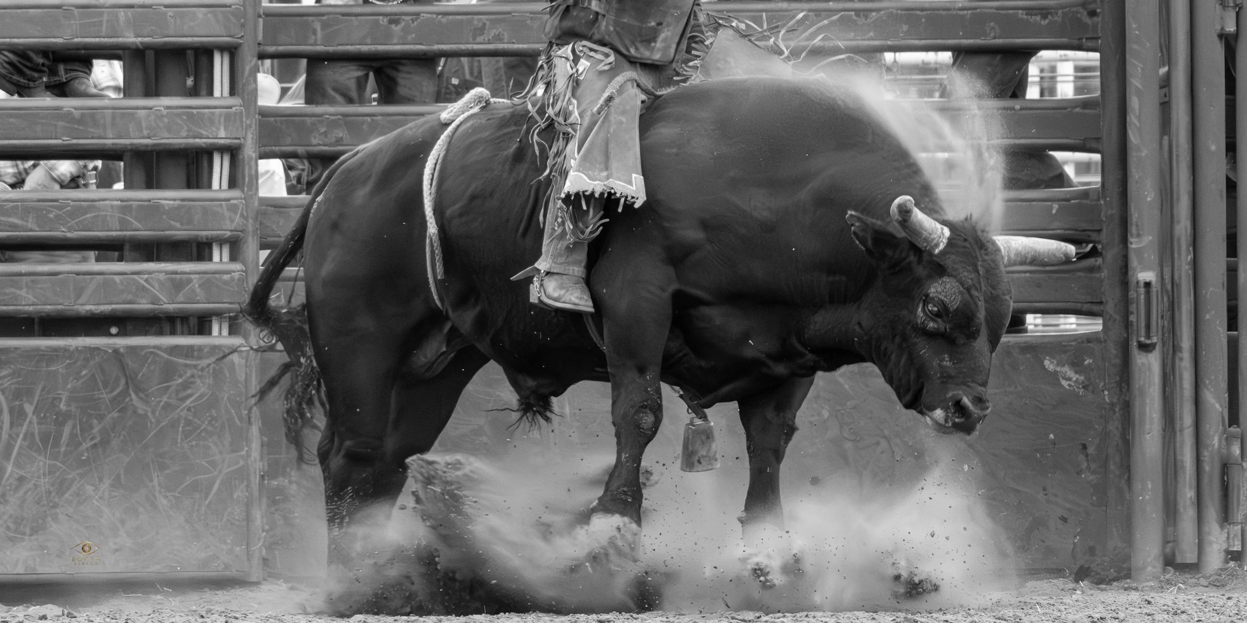 A bull rider is mid-fall from a bucking bull during a rodeo, with the bull kicking up dust and the rider holding onto the bull rope.