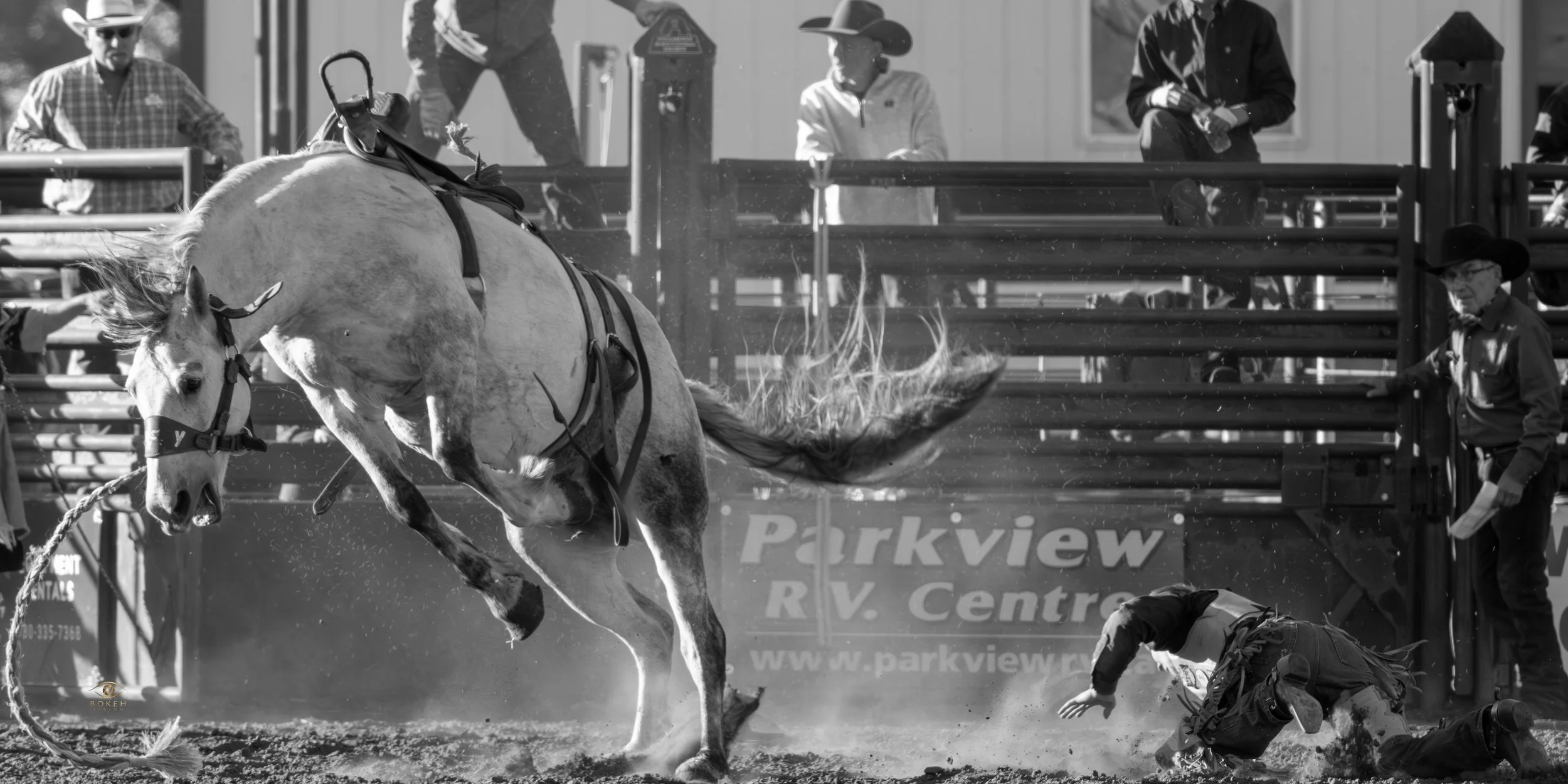 Wetaskiwin Rawhide Rodeo Day 2 -36.jpg