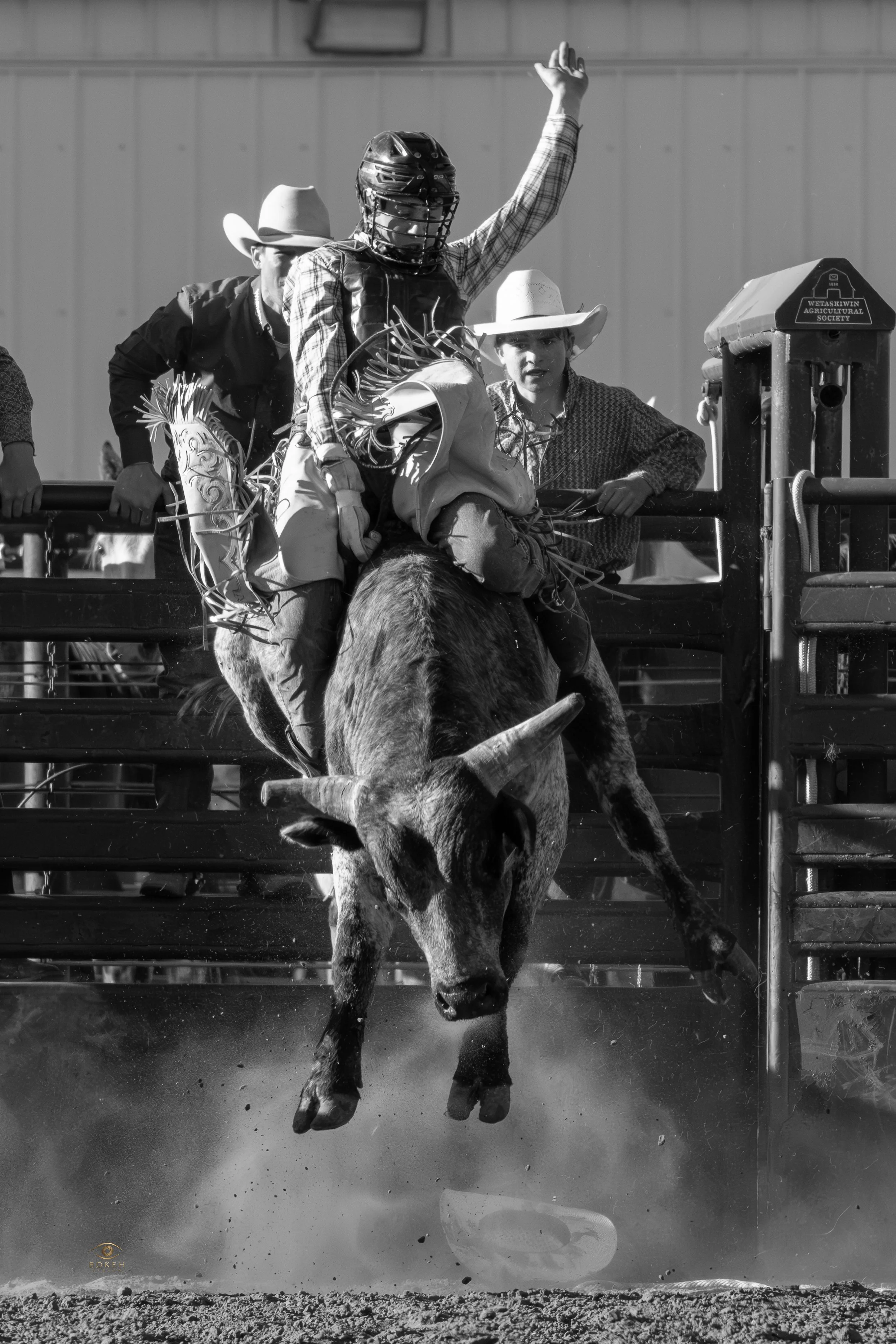 A cowboy riding a bucking horse at a rodeo, with others in cowboy hats in the background.