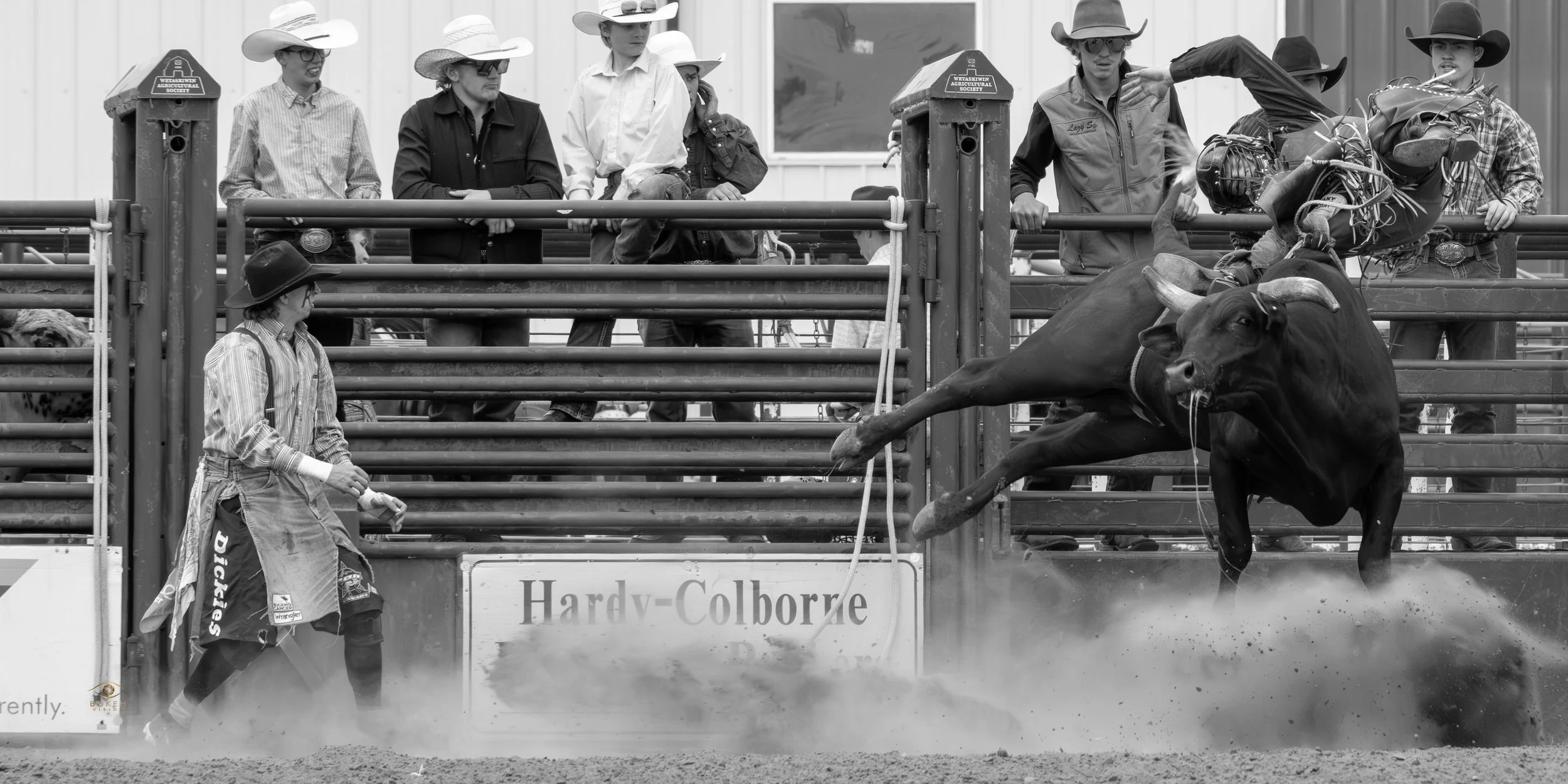 A black and white photo of a bull riding event. A bull with horns is mid-air, jumping from the ground, while a rider in a cowboy hat and protective gear holds on. Several spectators, some wearing cowboy hats, watch from behind the fence, and a man in a cowboy hat stands near the gate.