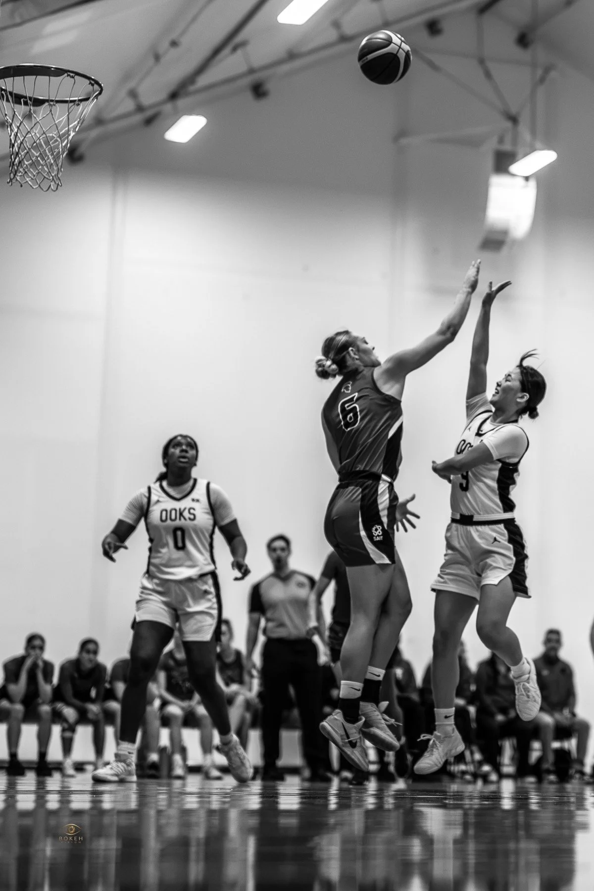 Basketball players contesting the ball above the court during game action