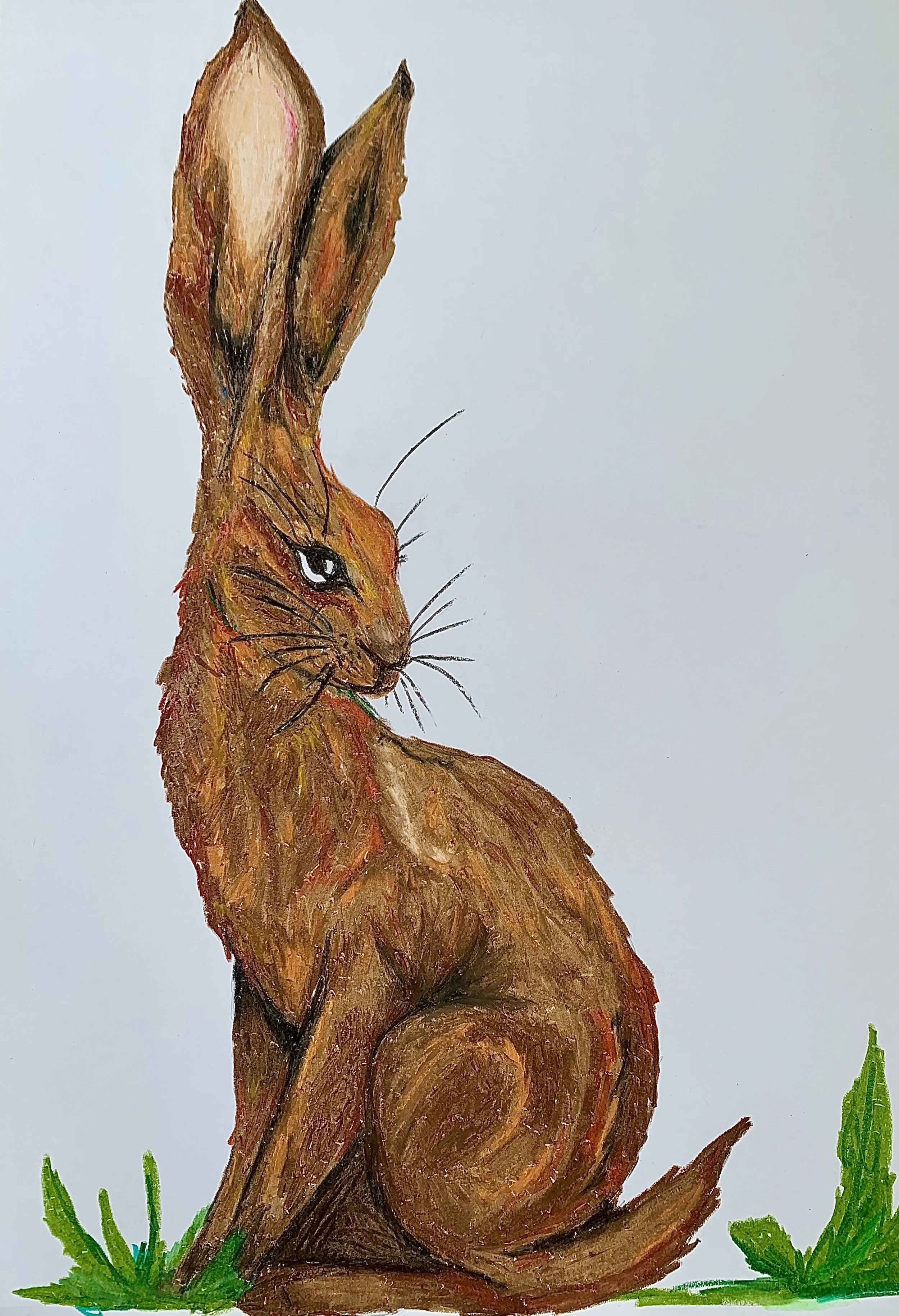 Hare, 2022