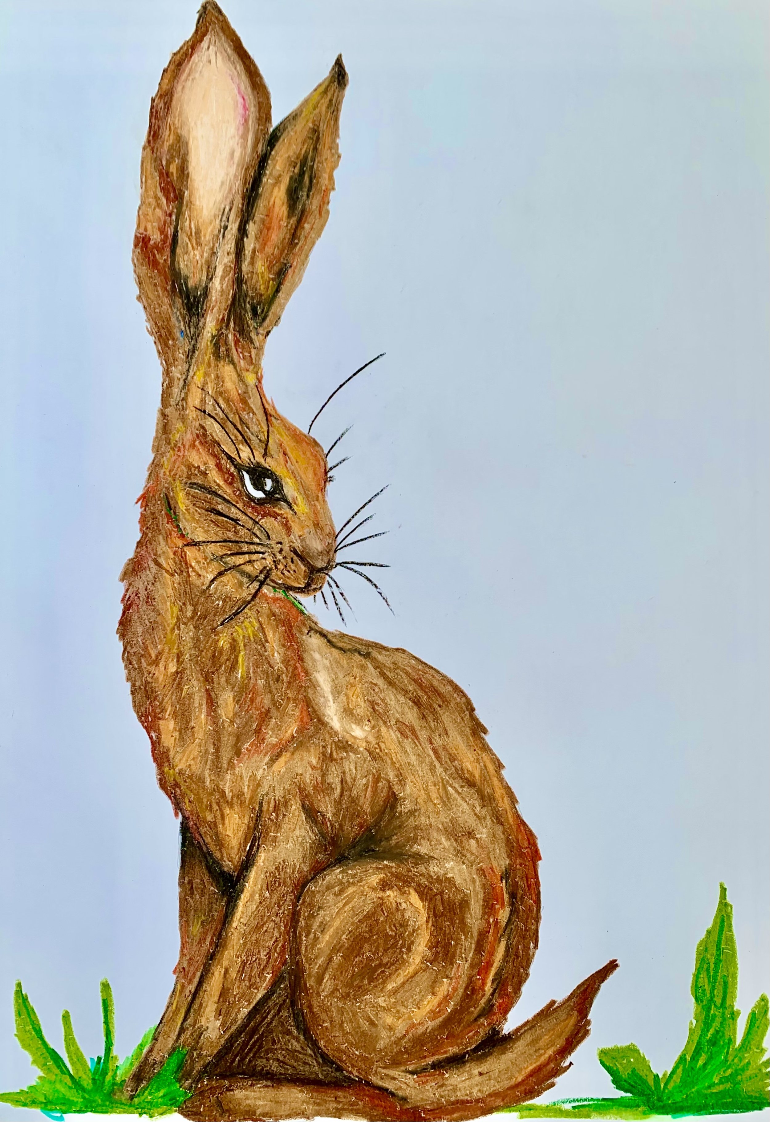 HARE PRINT