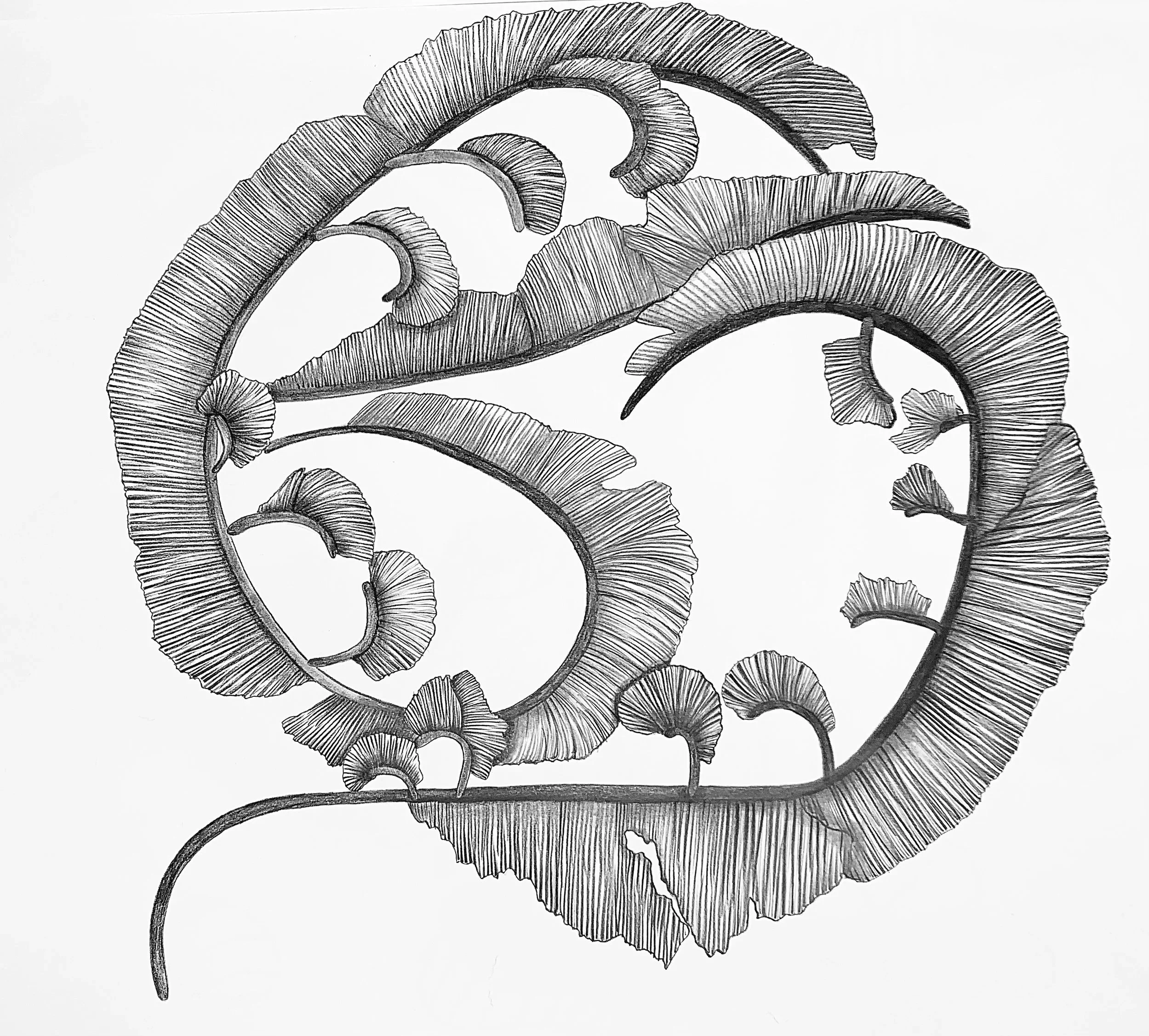 Pencil Projects
