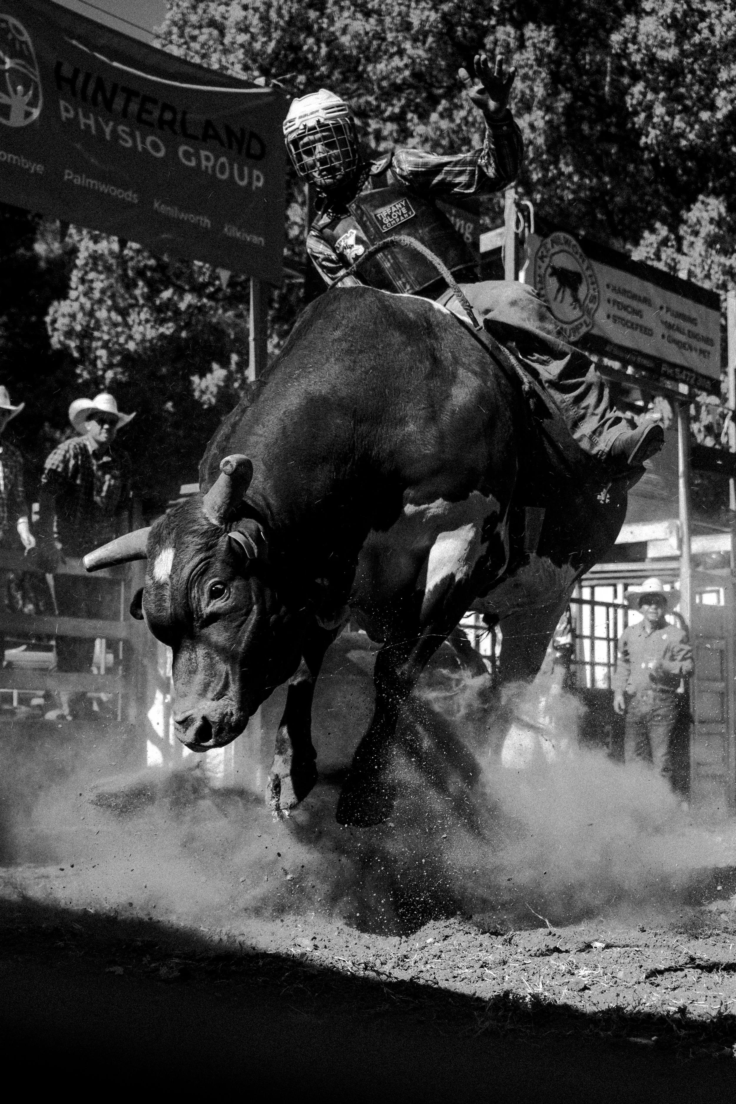 Kenelworth Rodeo-14.jpg