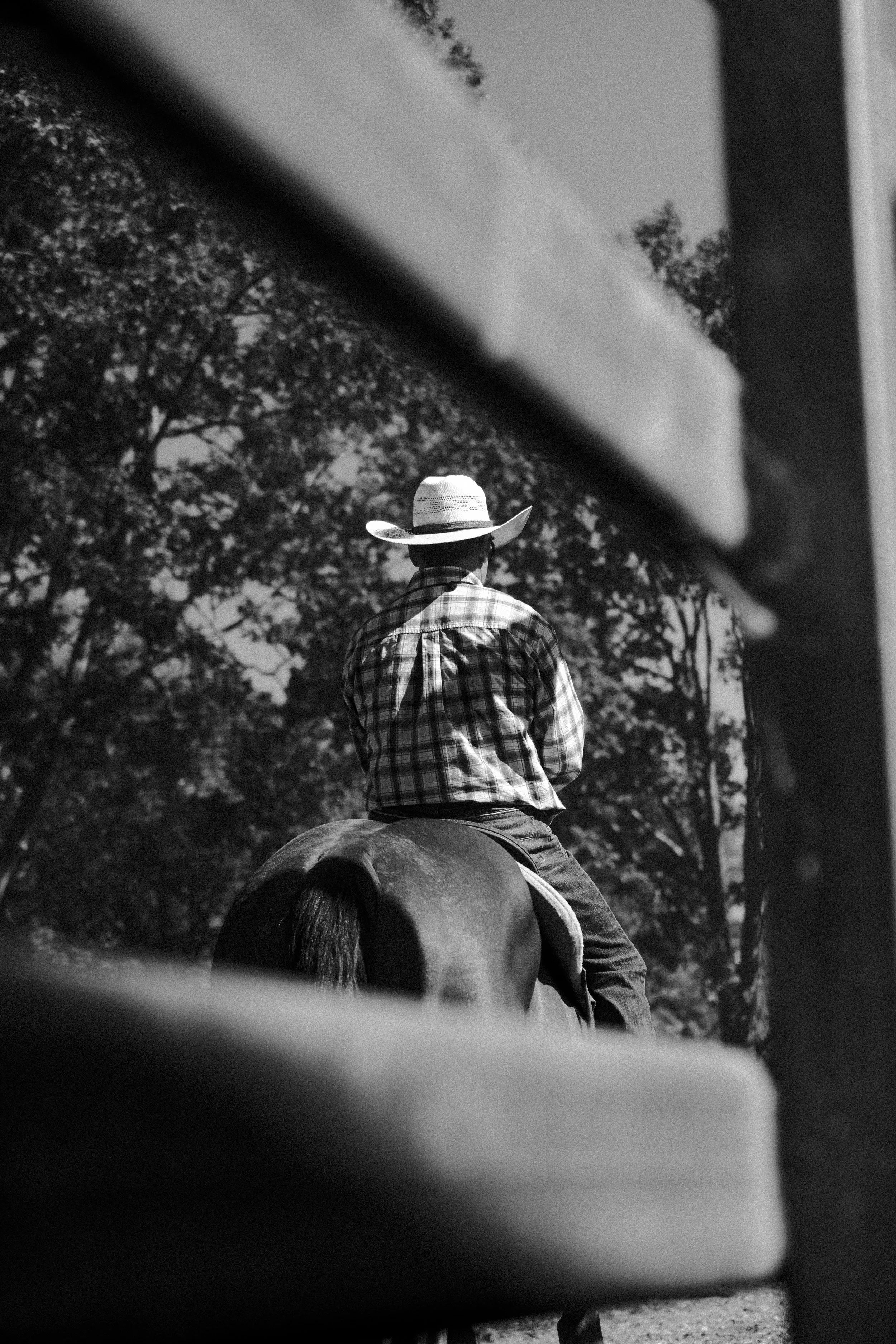 Kenelworth Rodeo-5.jpg