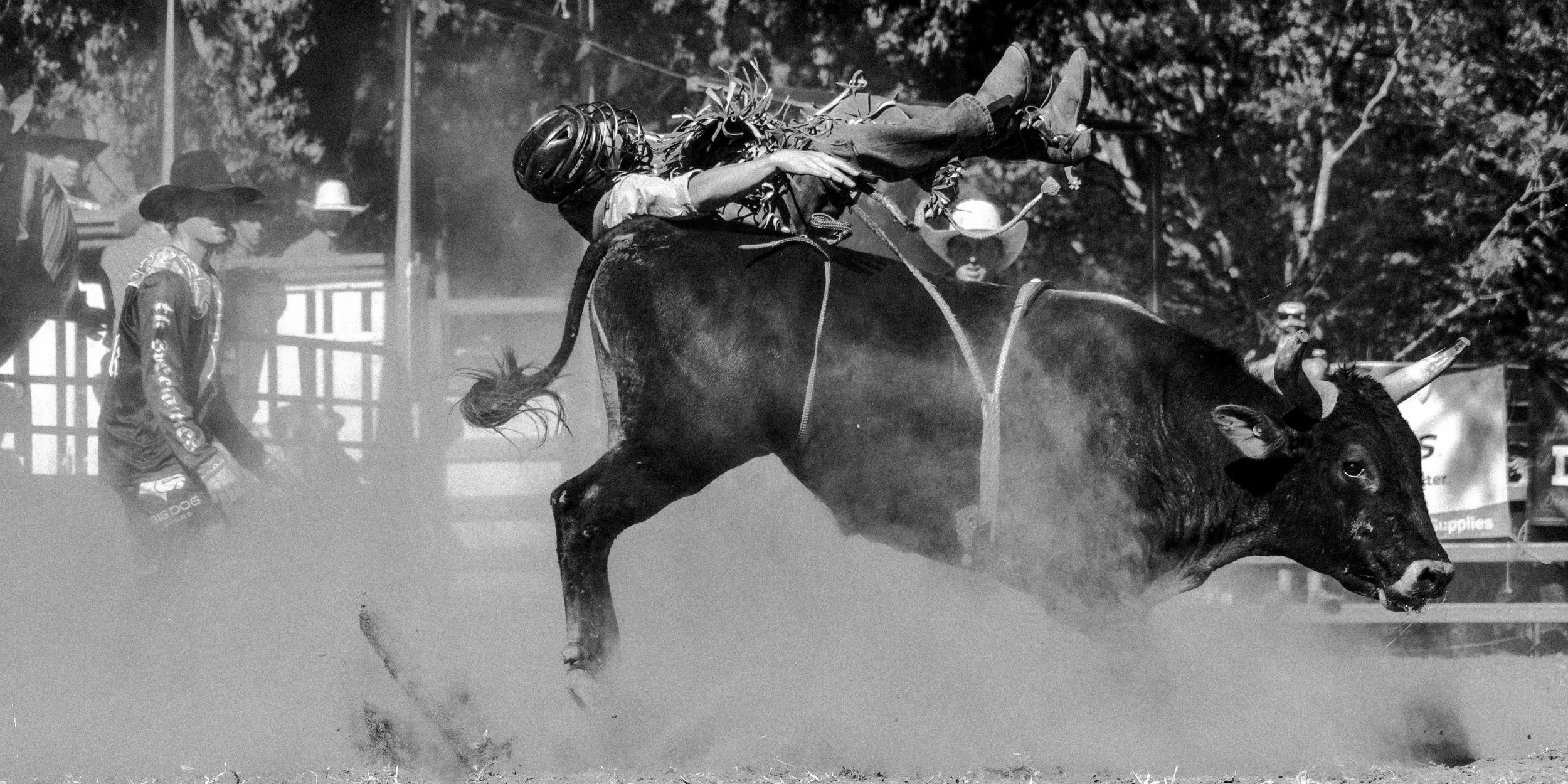Kenelworth Rodeo-22.jpg