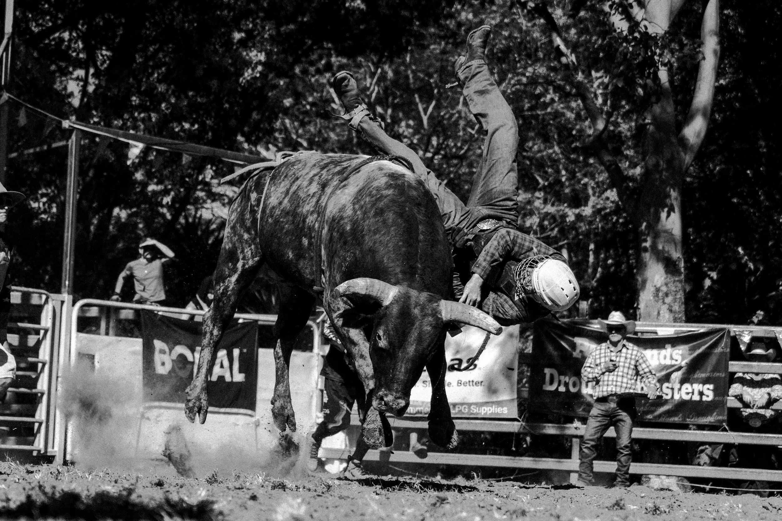 Kenelworth Rodeo-13.jpg