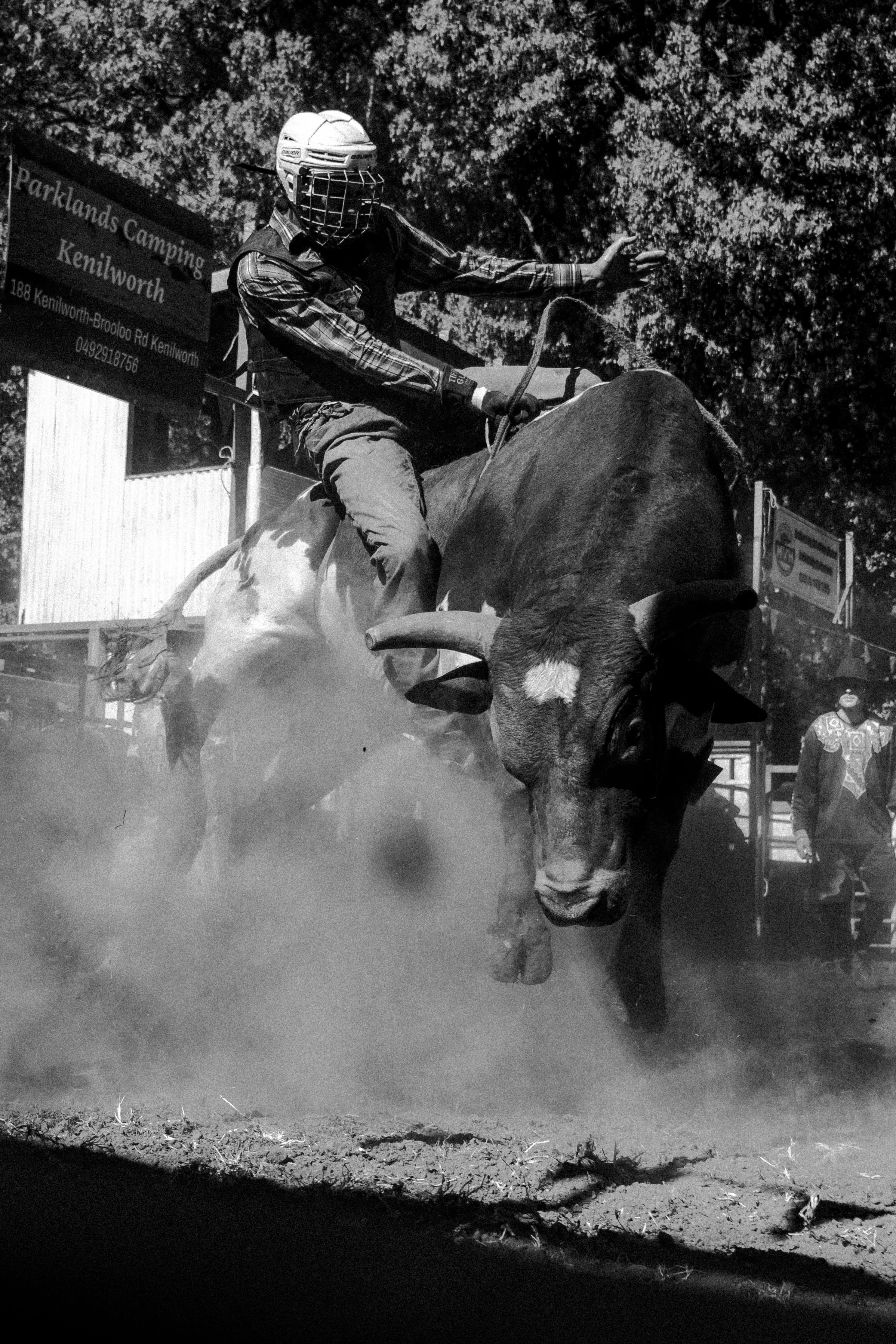 Kenelworth Rodeo-16.jpg