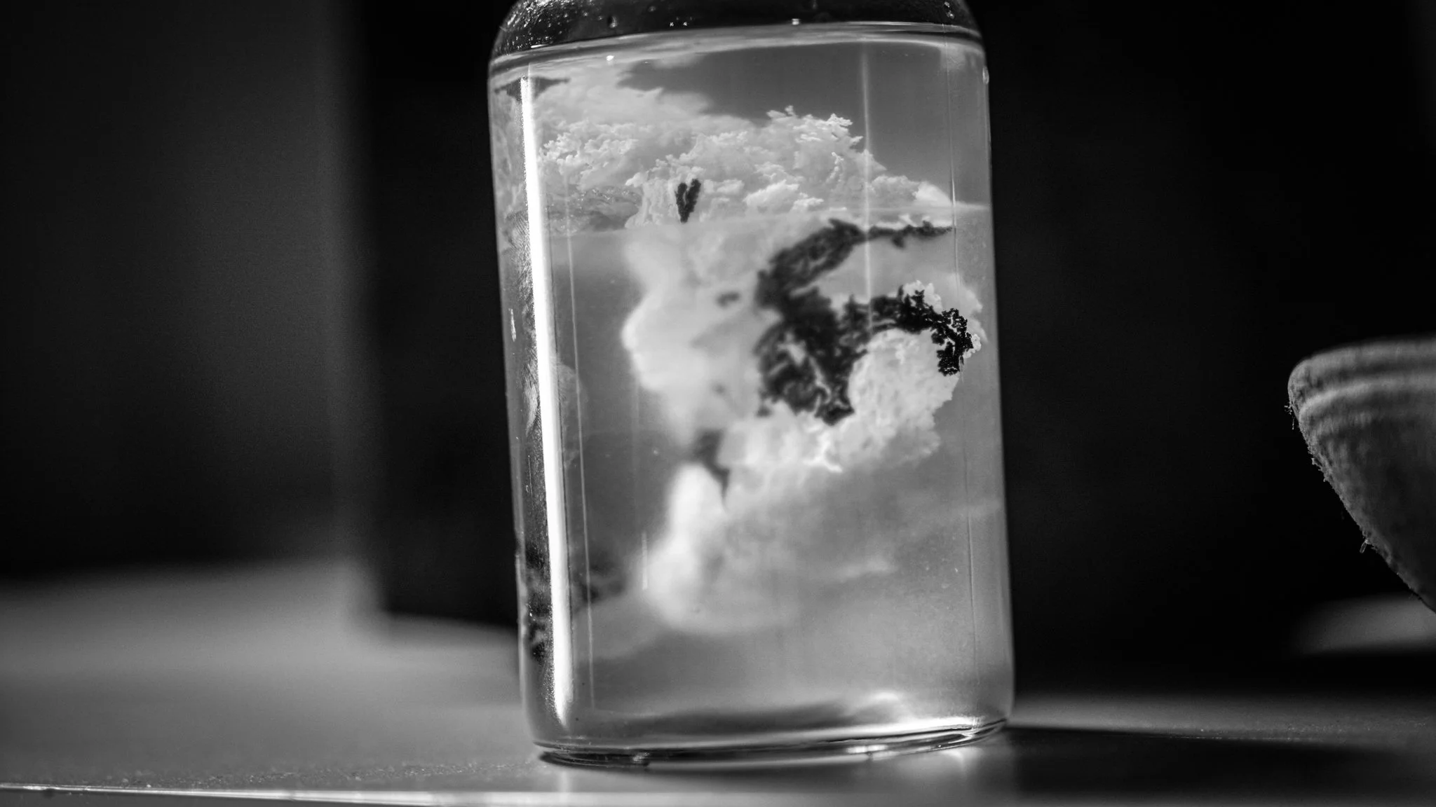 FRACTURED FILMMAKERS UPDATED-12.jpg