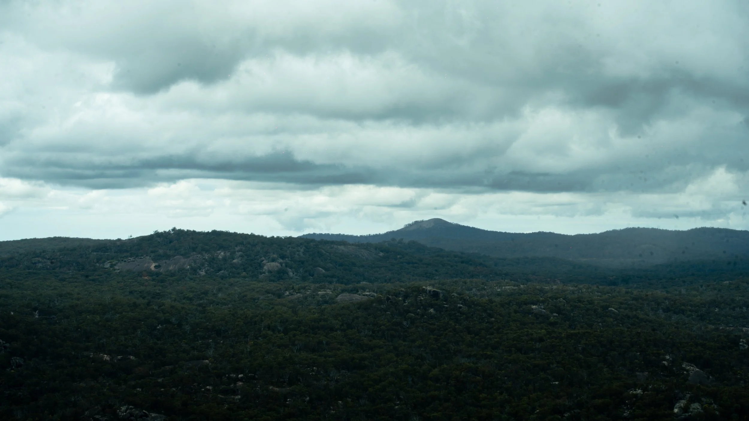 CastleRock2026-23.jpg