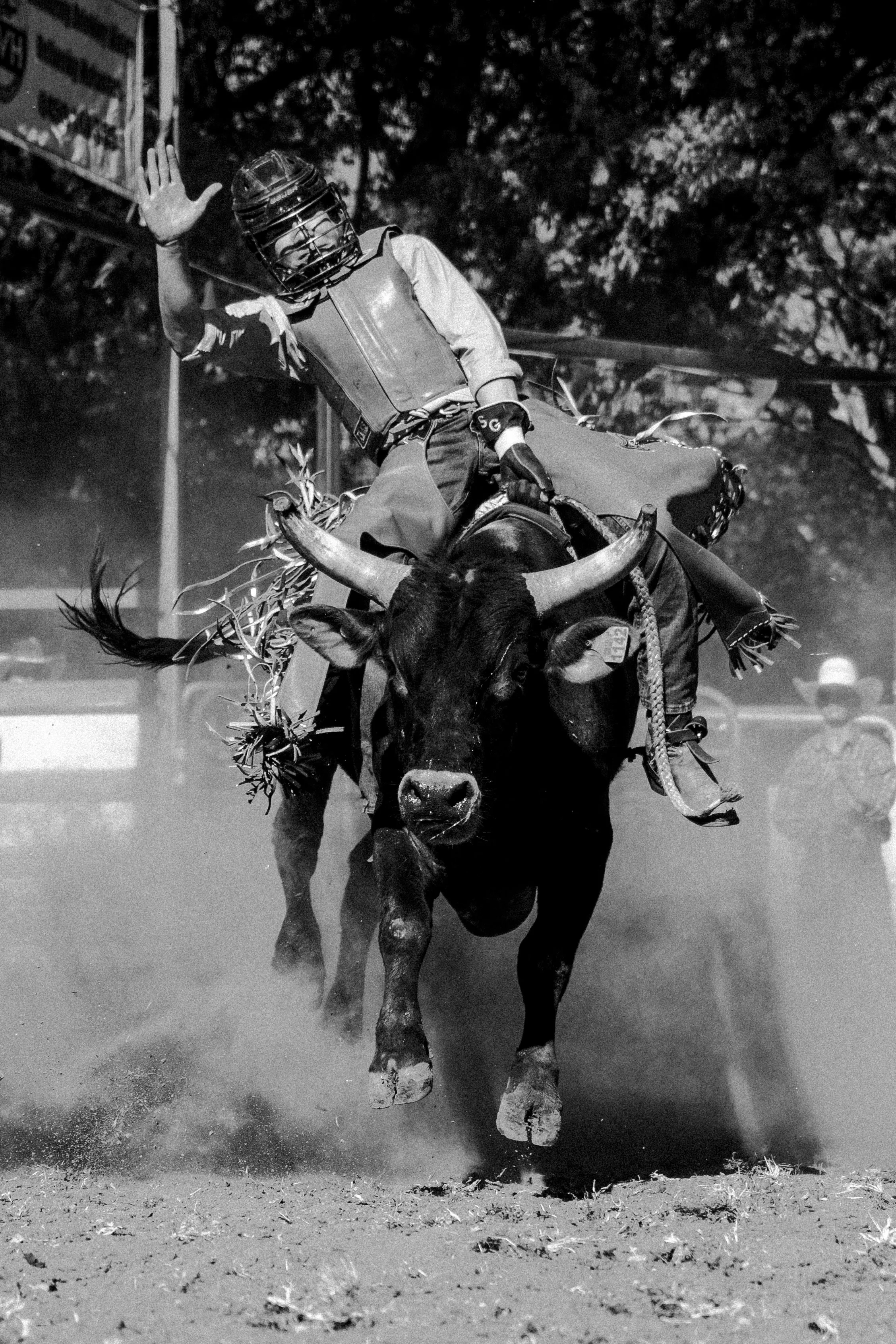 Kenelworth Rodeo-21.jpg