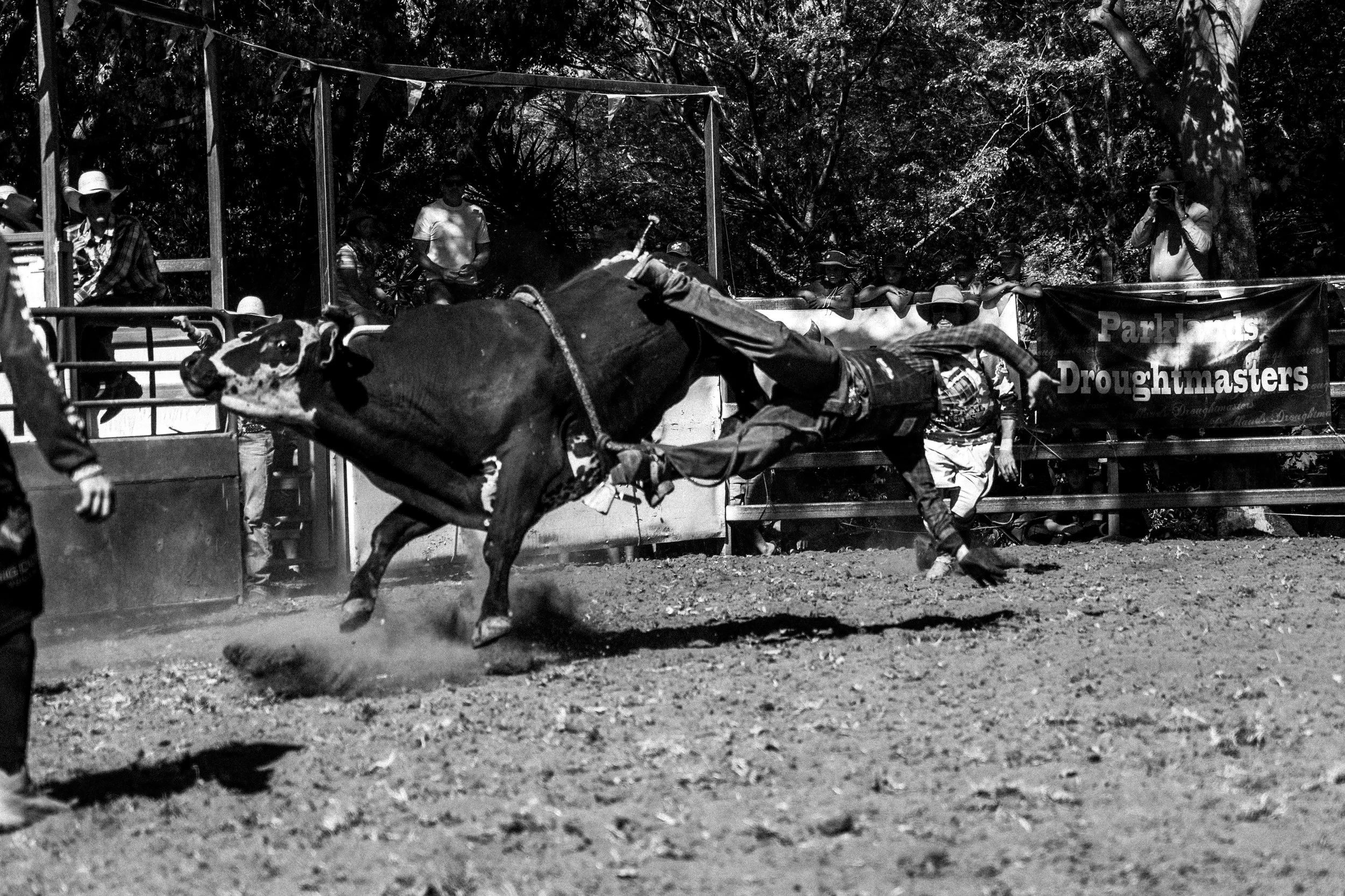 Kenelworth Rodeo-2.jpg