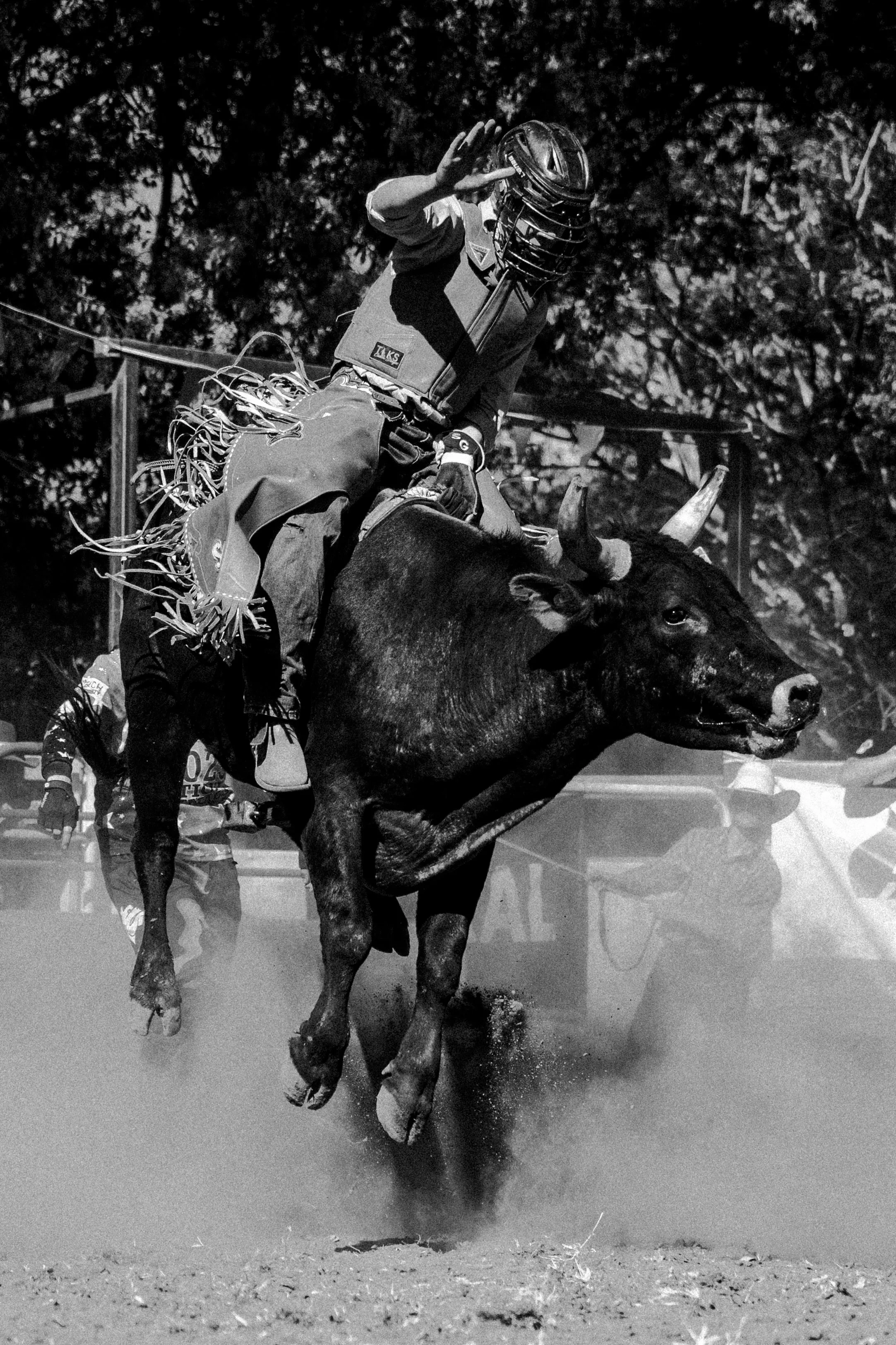 Kenelworth Rodeo-20.jpg