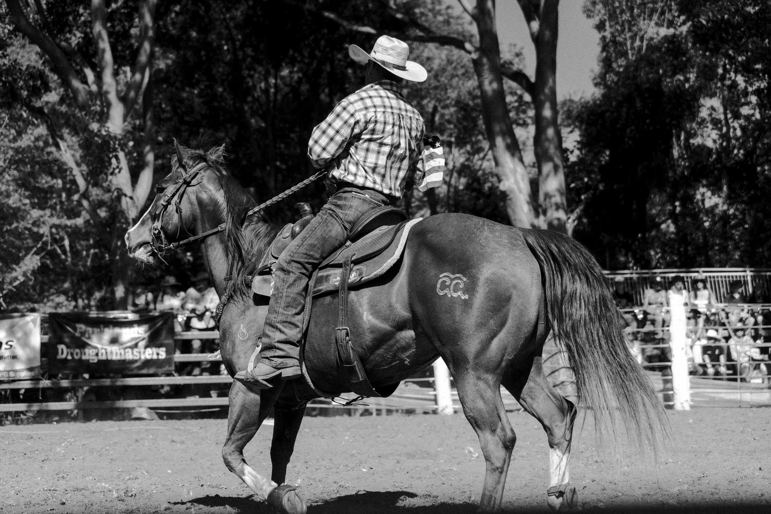 Kenelworth Rodeo-6.jpg