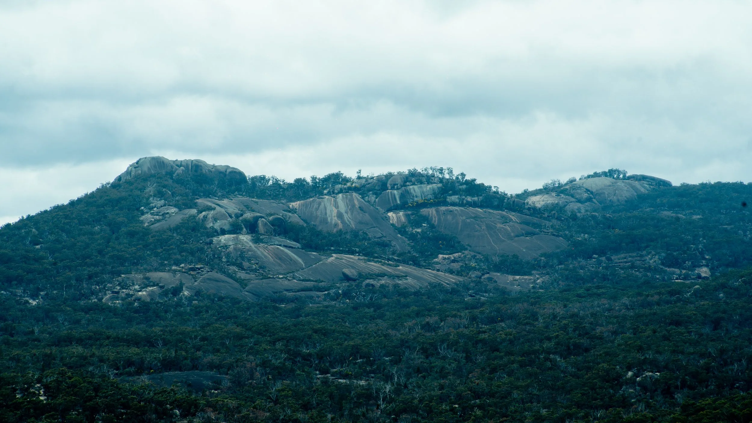 CastleRock2026-25.jpg