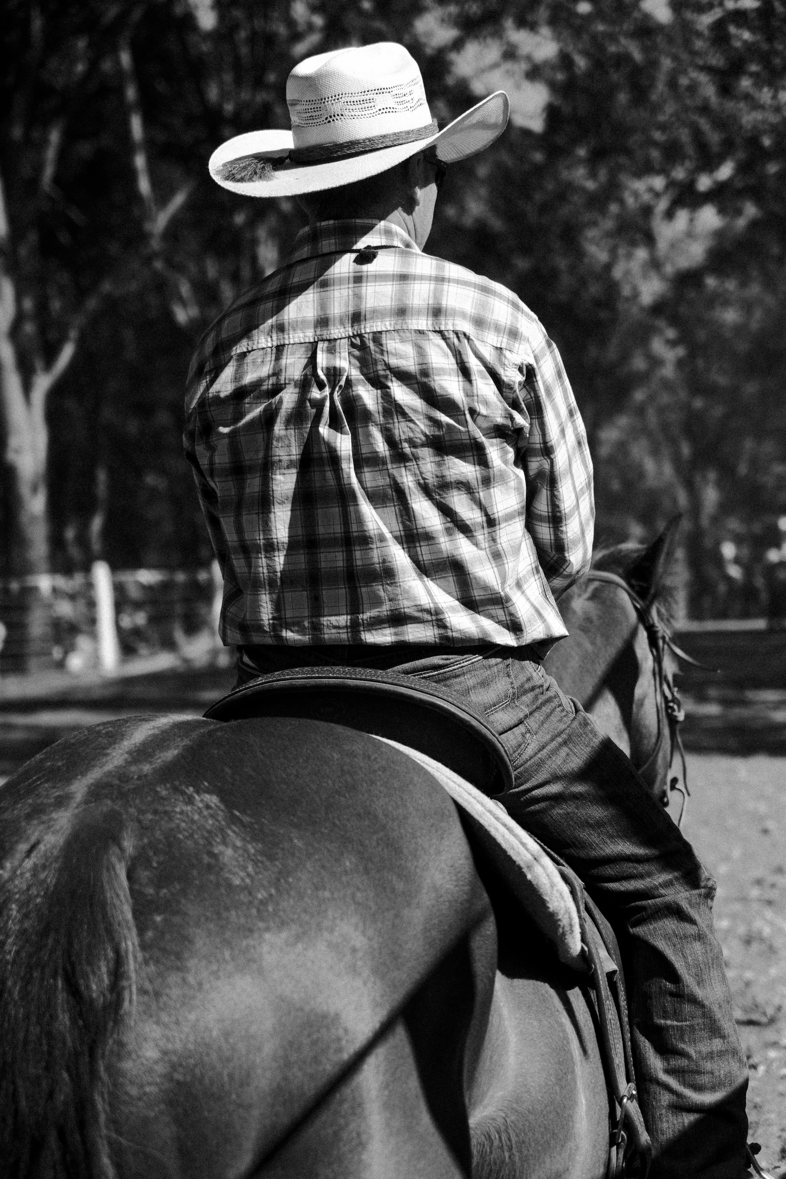 Kenelworth Rodeo-7.jpg