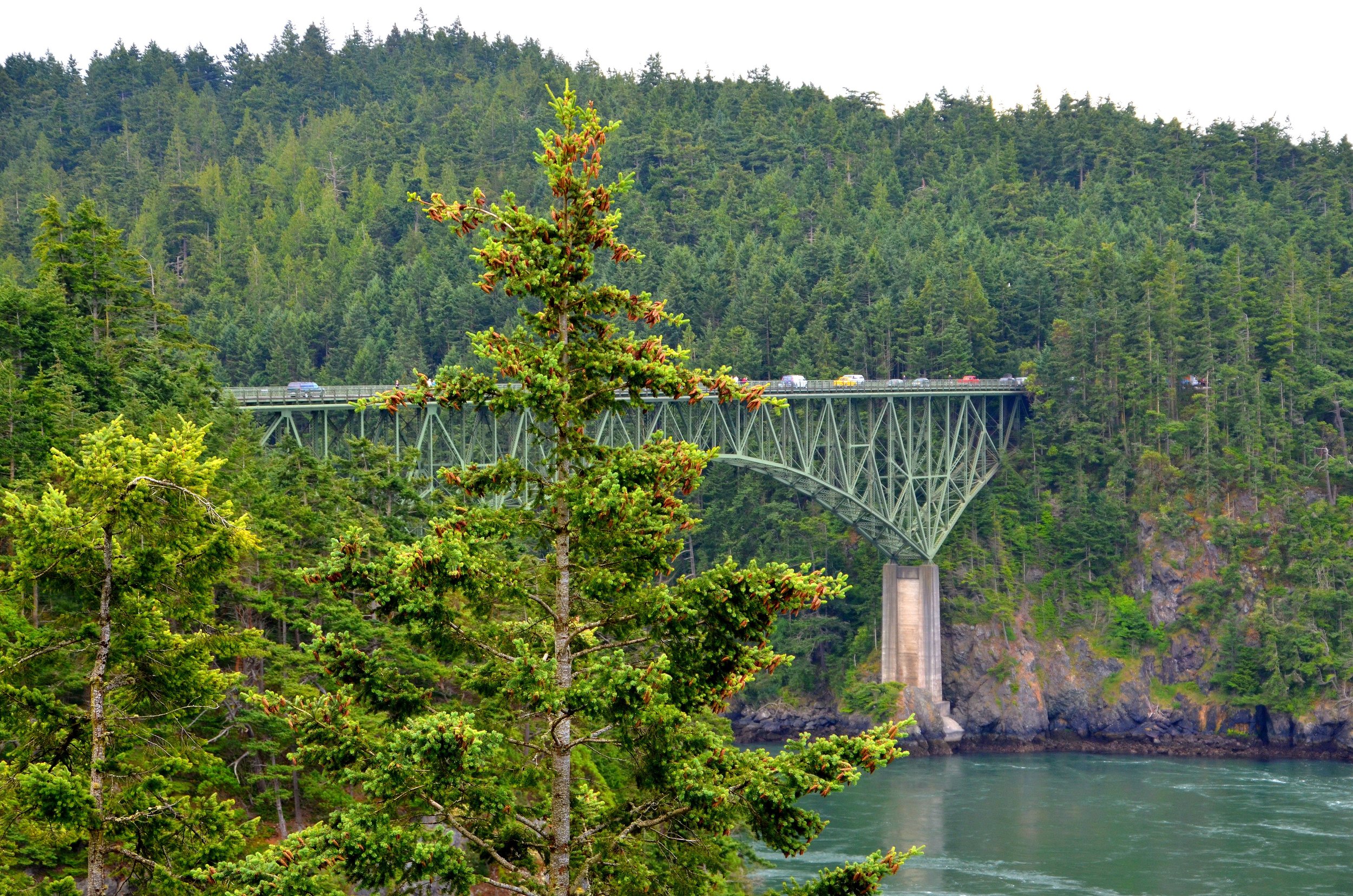 A steel bridge spanning across a river, surrounded by dense green forest and tall trees, with a cloudy sky above.