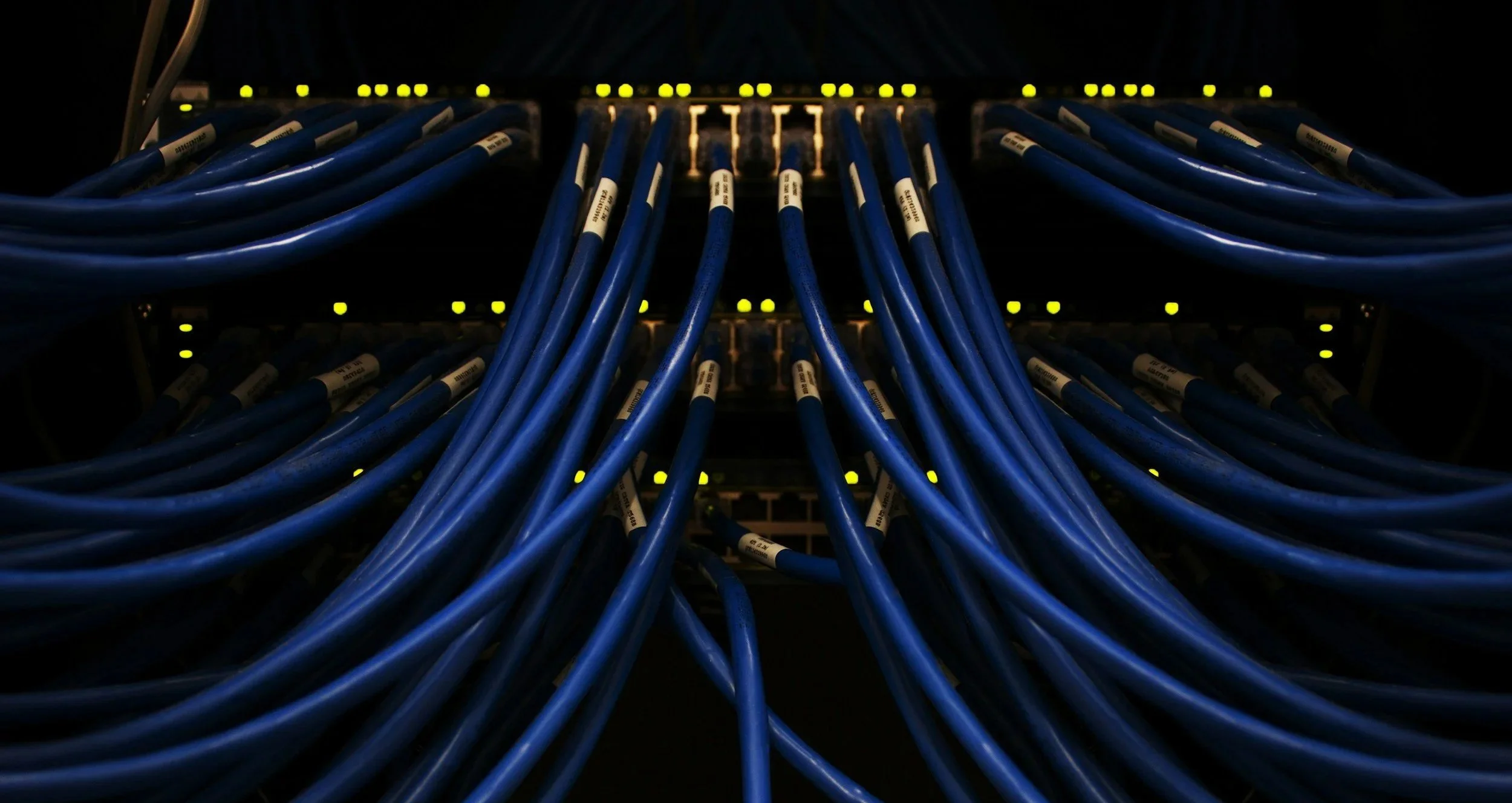 Blue network cables connected to a server or network switch with yellow lights.
