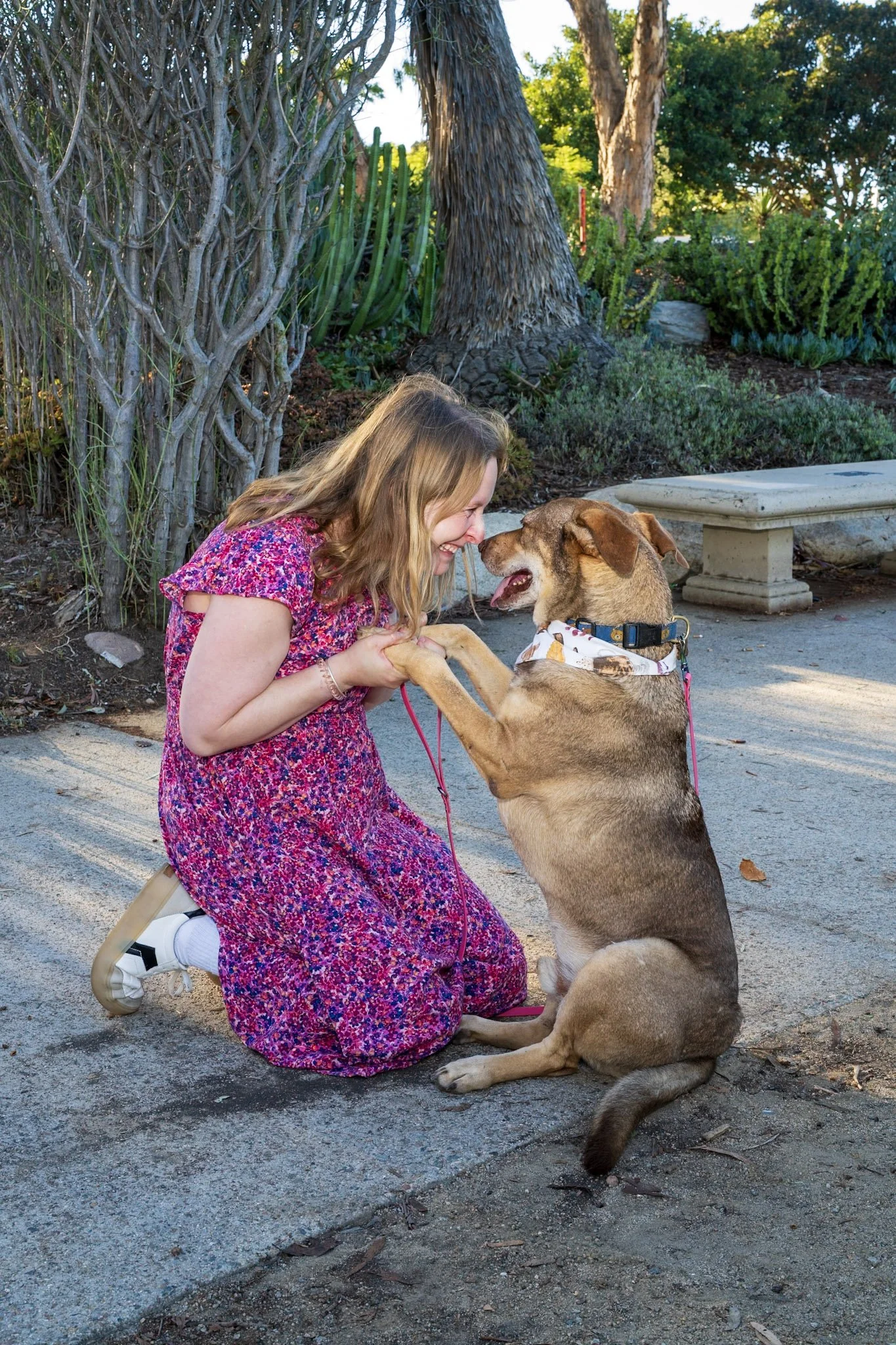 A young woman kneeling on the ground, smiling and leaning toward a large sitting dog with a tan coat and darker markings, outdoors in a park-like setting with trees, bushes, and a stone bench in the background.