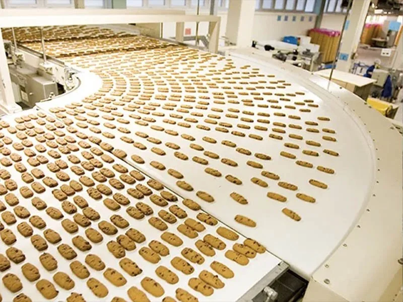 Línea de producción de galletas en una fábrica, con muchas galletas ordenadas en una cinta transportadora.