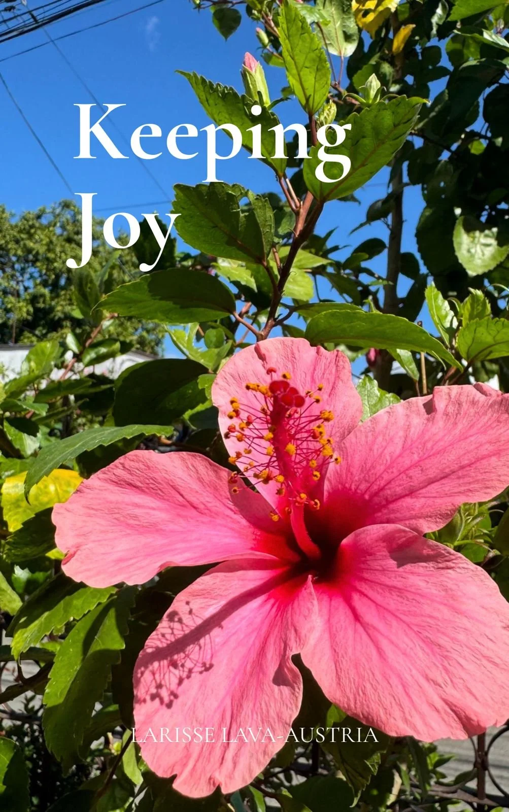 Keeping Joy (Exclusive Early Digital Release)
