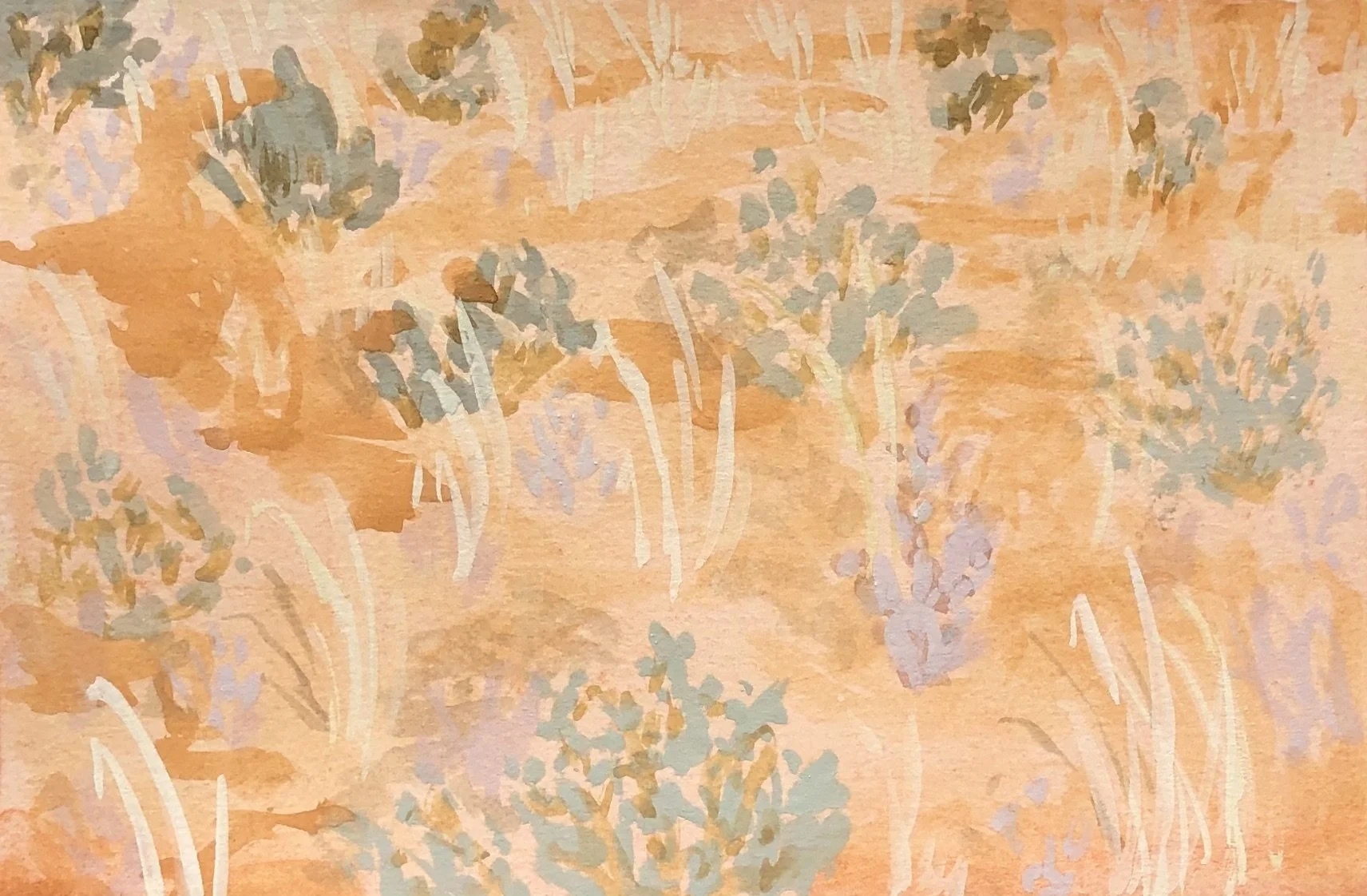 Saltbush sunset