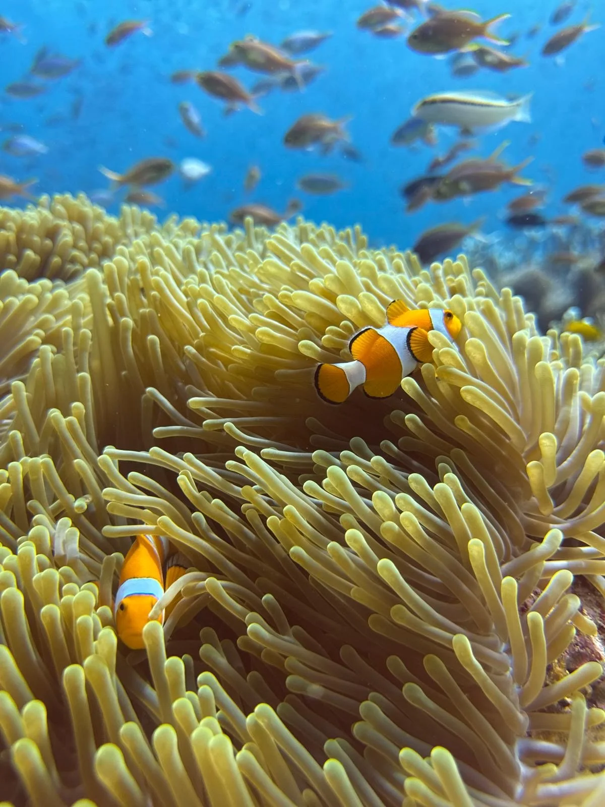 1d549ade-646c-49b4-ac6f-7687de7acbe6 (1).JPG