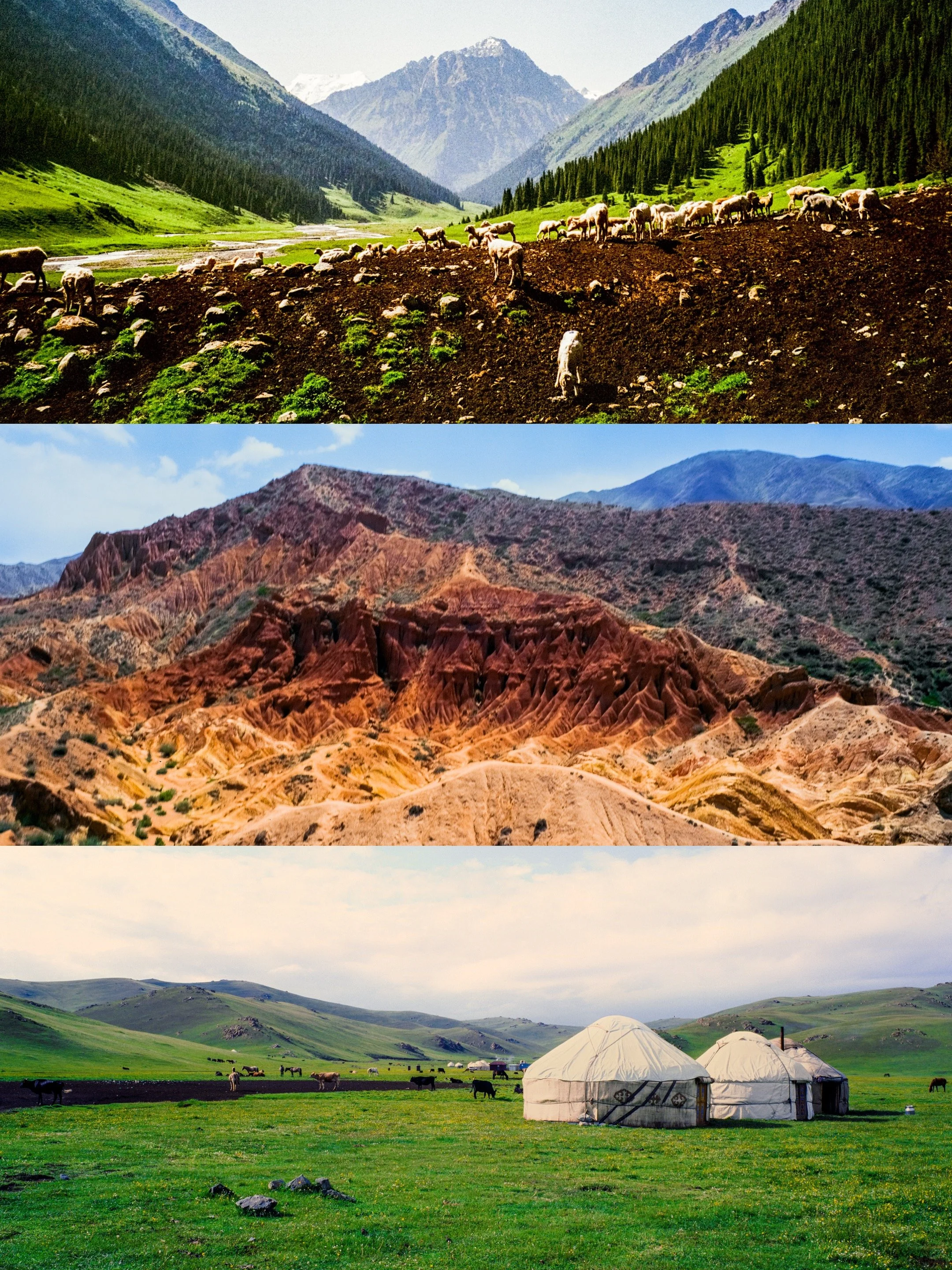 A scenic landscape with three horizontal sections; the top section features a lush green valley with grazing sheep, surrounded by mountains with snow-capped peaks and evergreen trees. The middle section shows rugged, colorful red and orange rocky hills or mountains. The bottom section depicts green rolling hills with grazing horses and traditional yurts.
