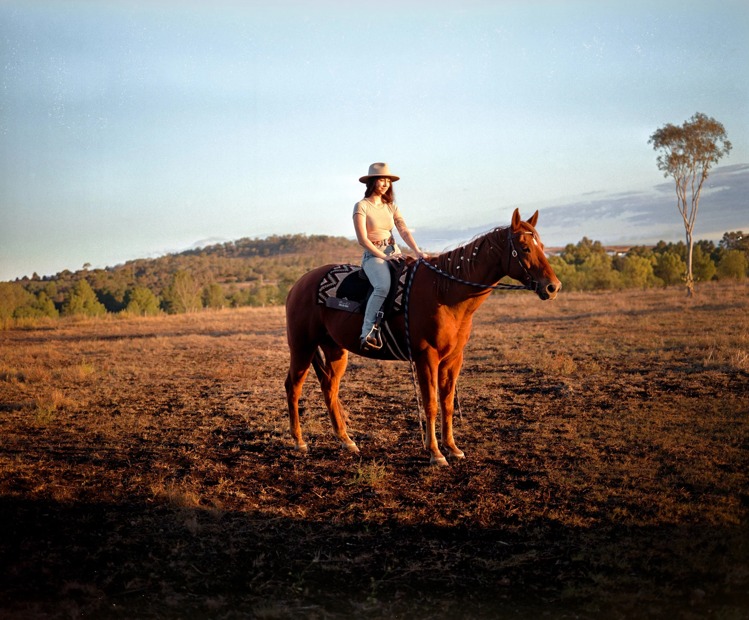 A woman riding a brown horse in an open field during sunset, with rolling hills and a tree in the background.