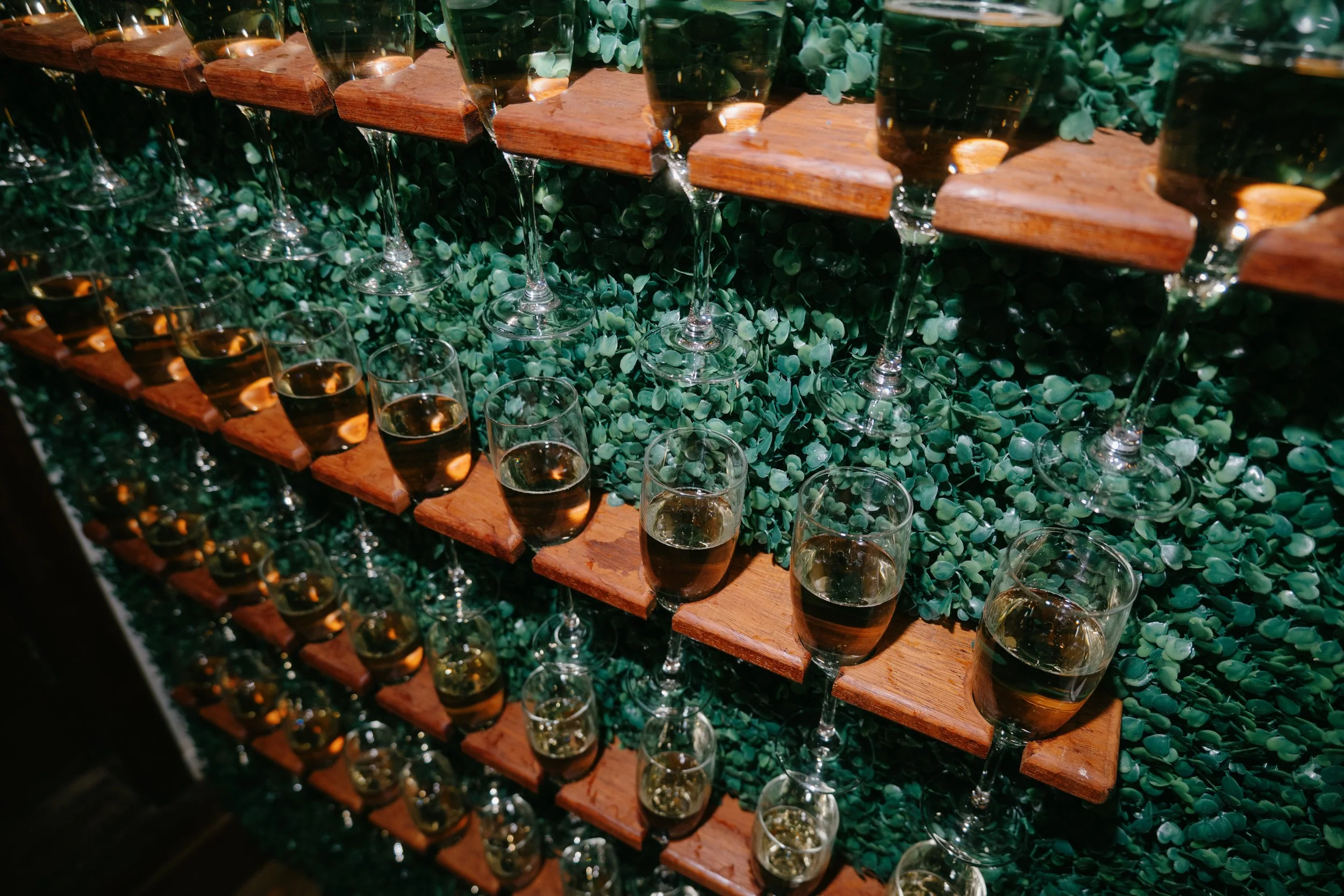 Multiple champagne glasses filled with bubbly drink arranged on wooden shelves, with green foliage decor in the background.