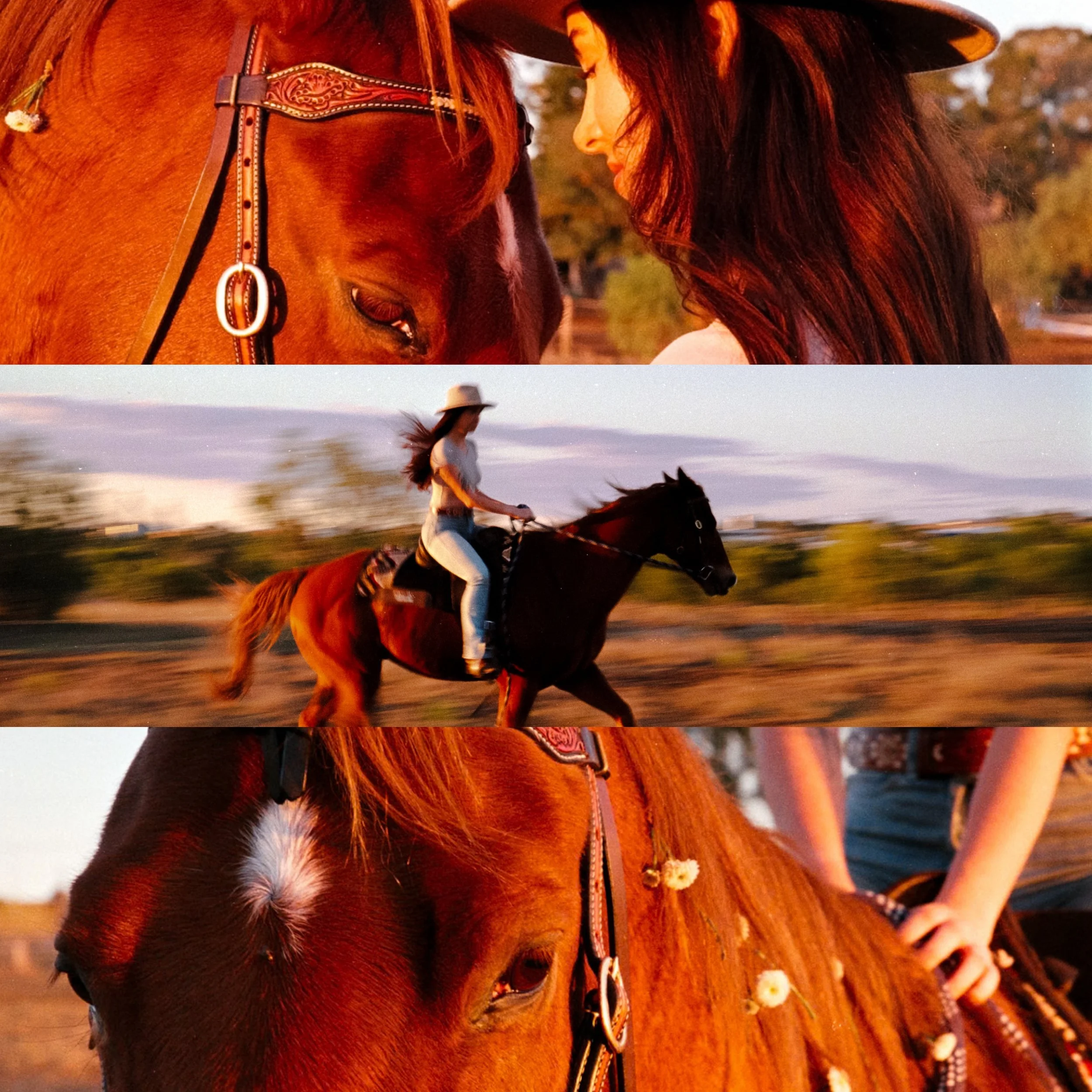 A woman with long red hair wearing a black cowboy hat, riding a brown horse with a star on its forehead during sunset, with blurred background of trees and sunset sky.
