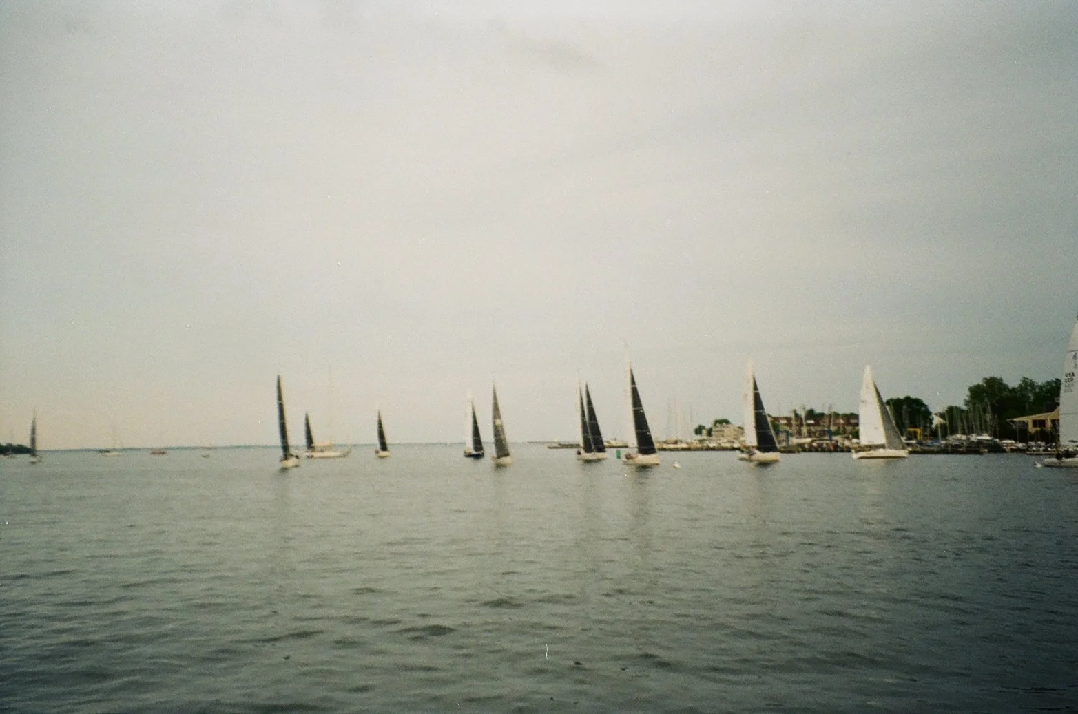 IMG_4912.JPG