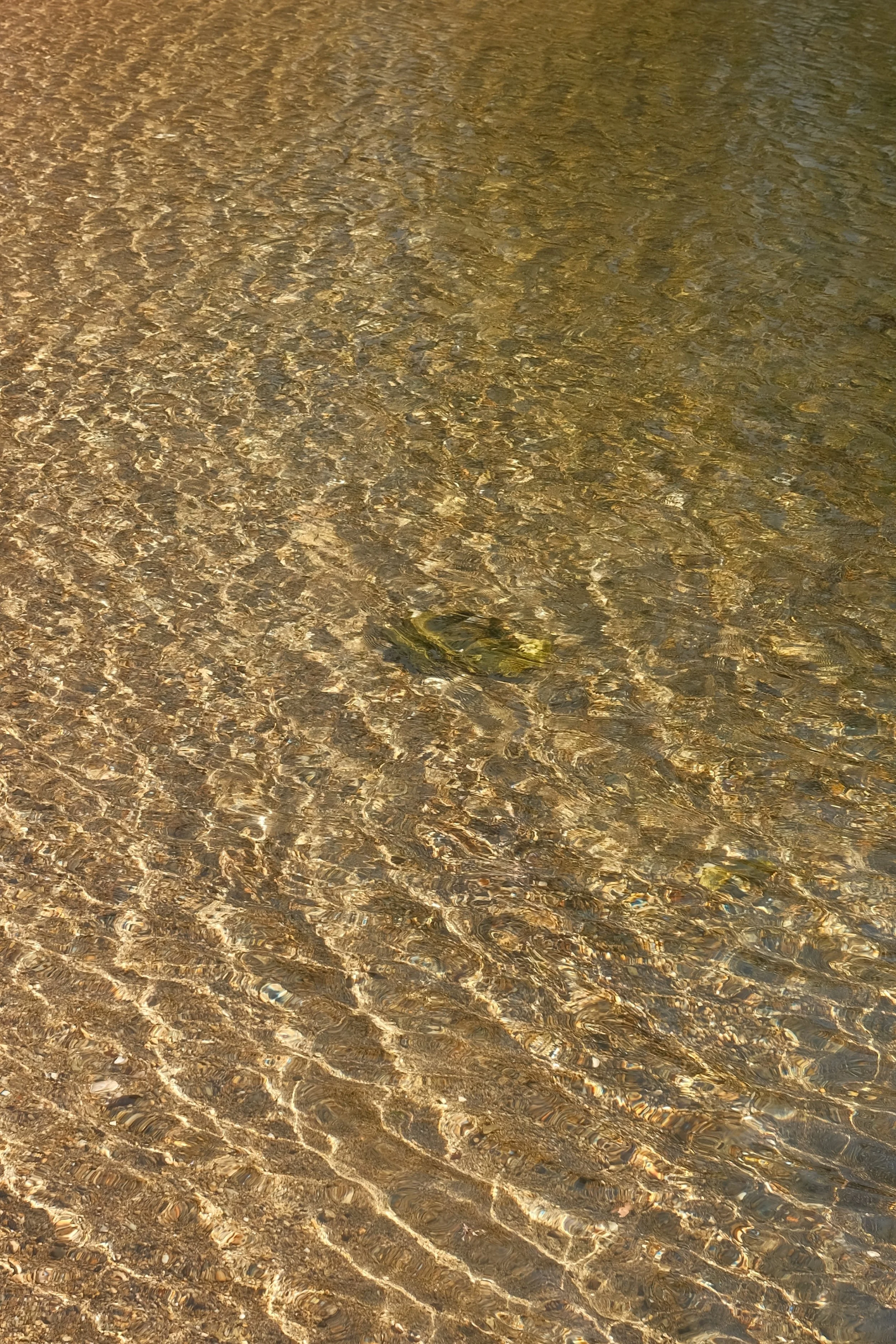 DSCF1902.JPG