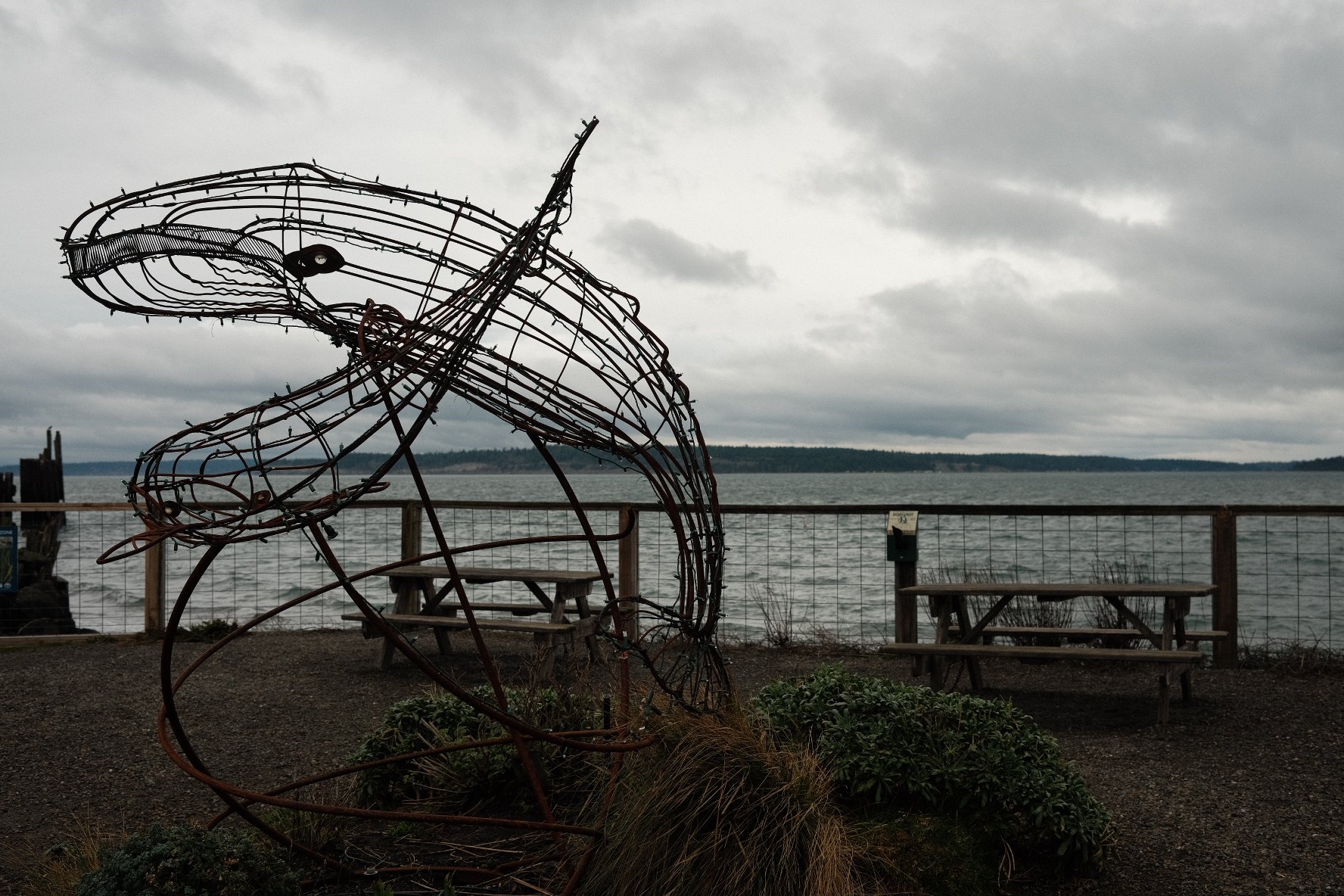 DSCF8667.JPG