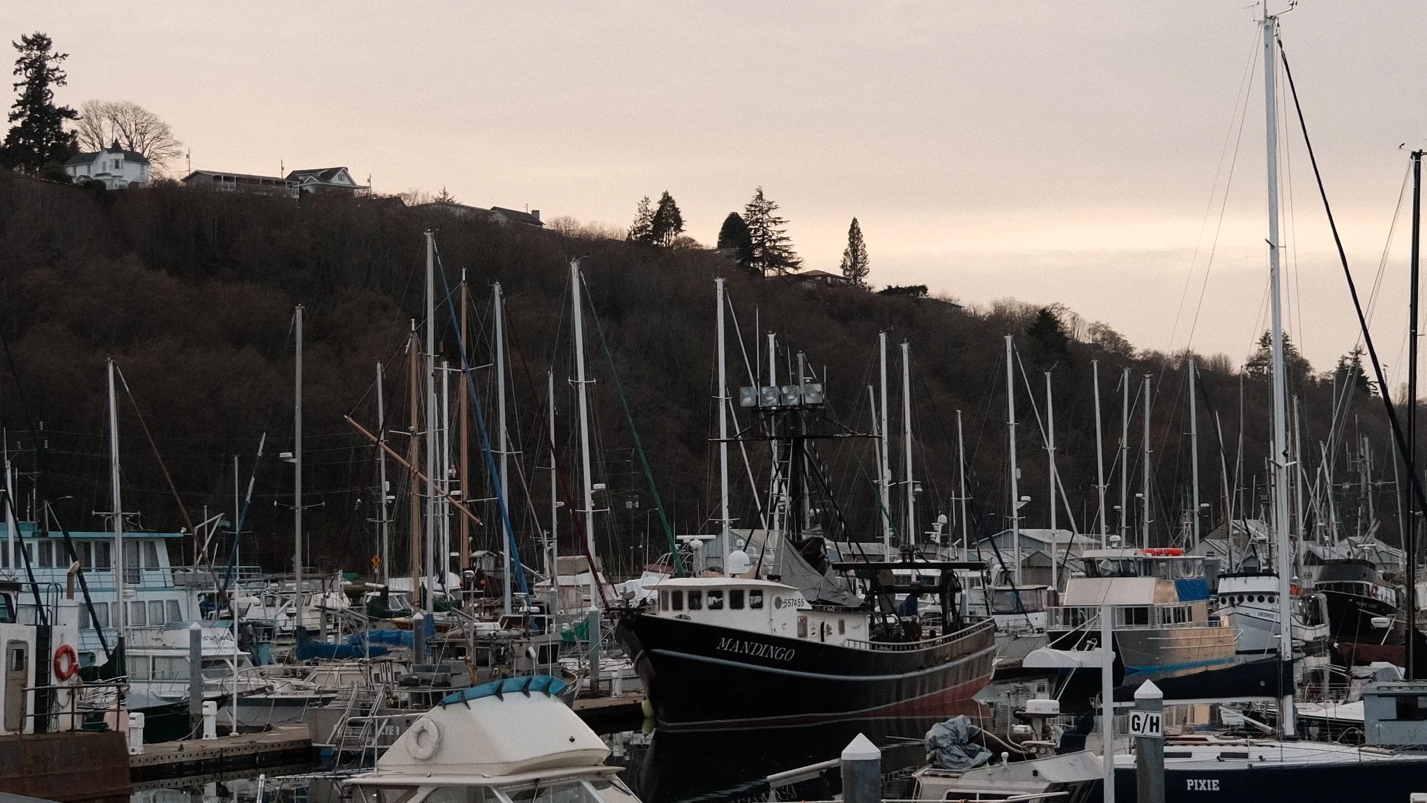 DSCF7881.JPG