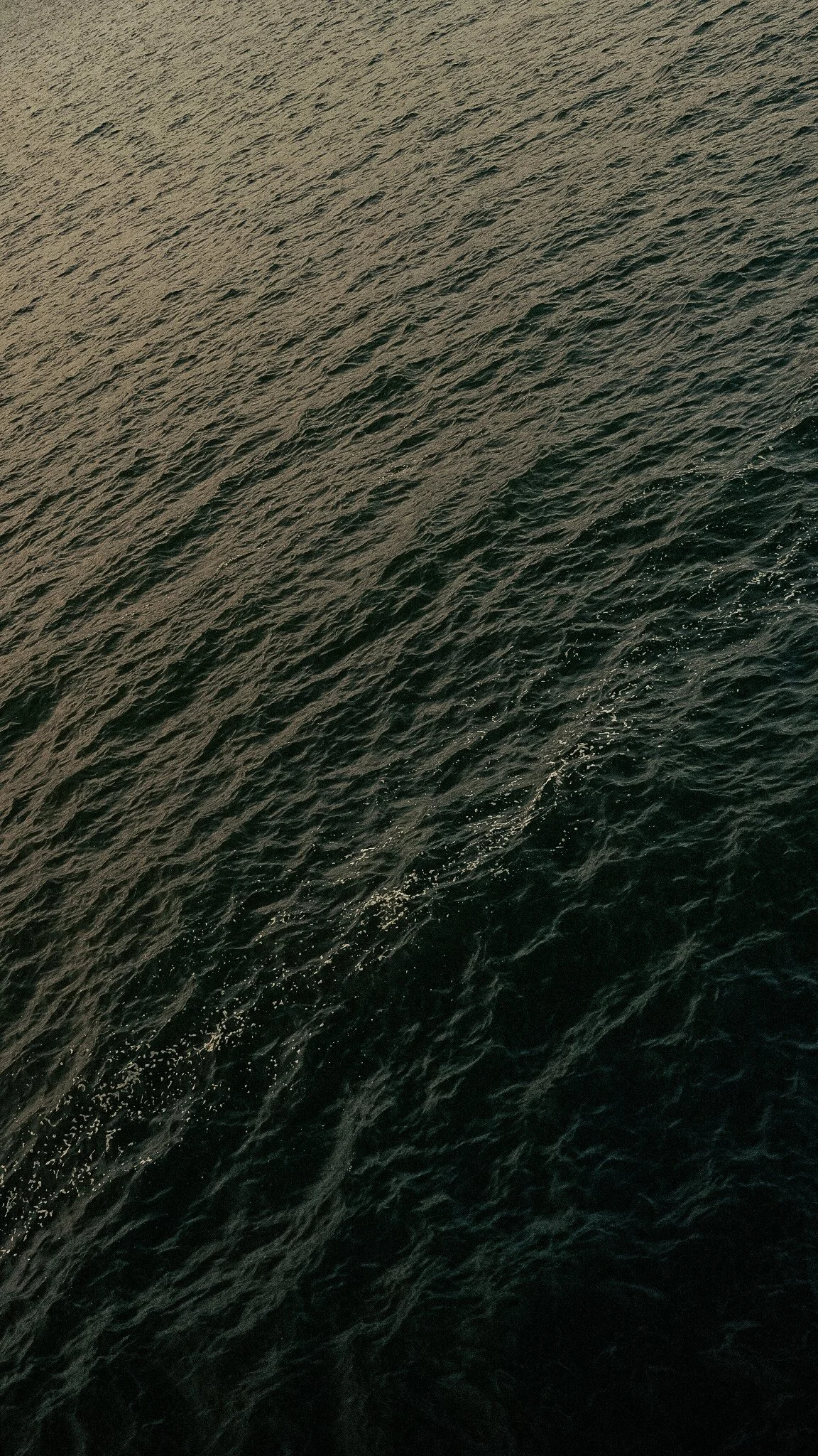 DSCF7398.JPG