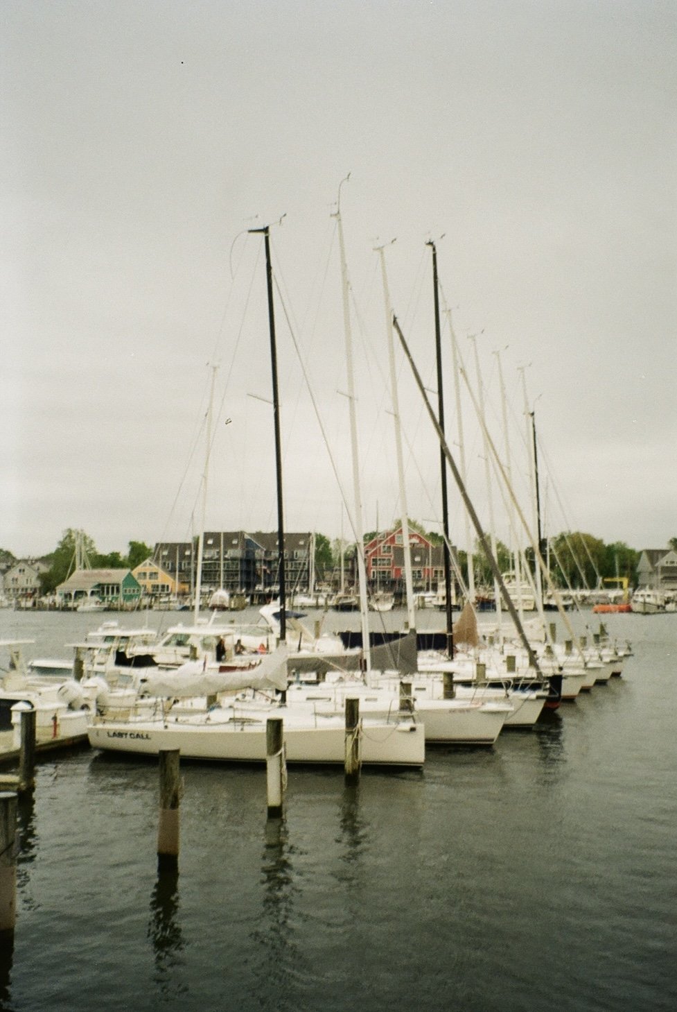 IMG_4916.jpg