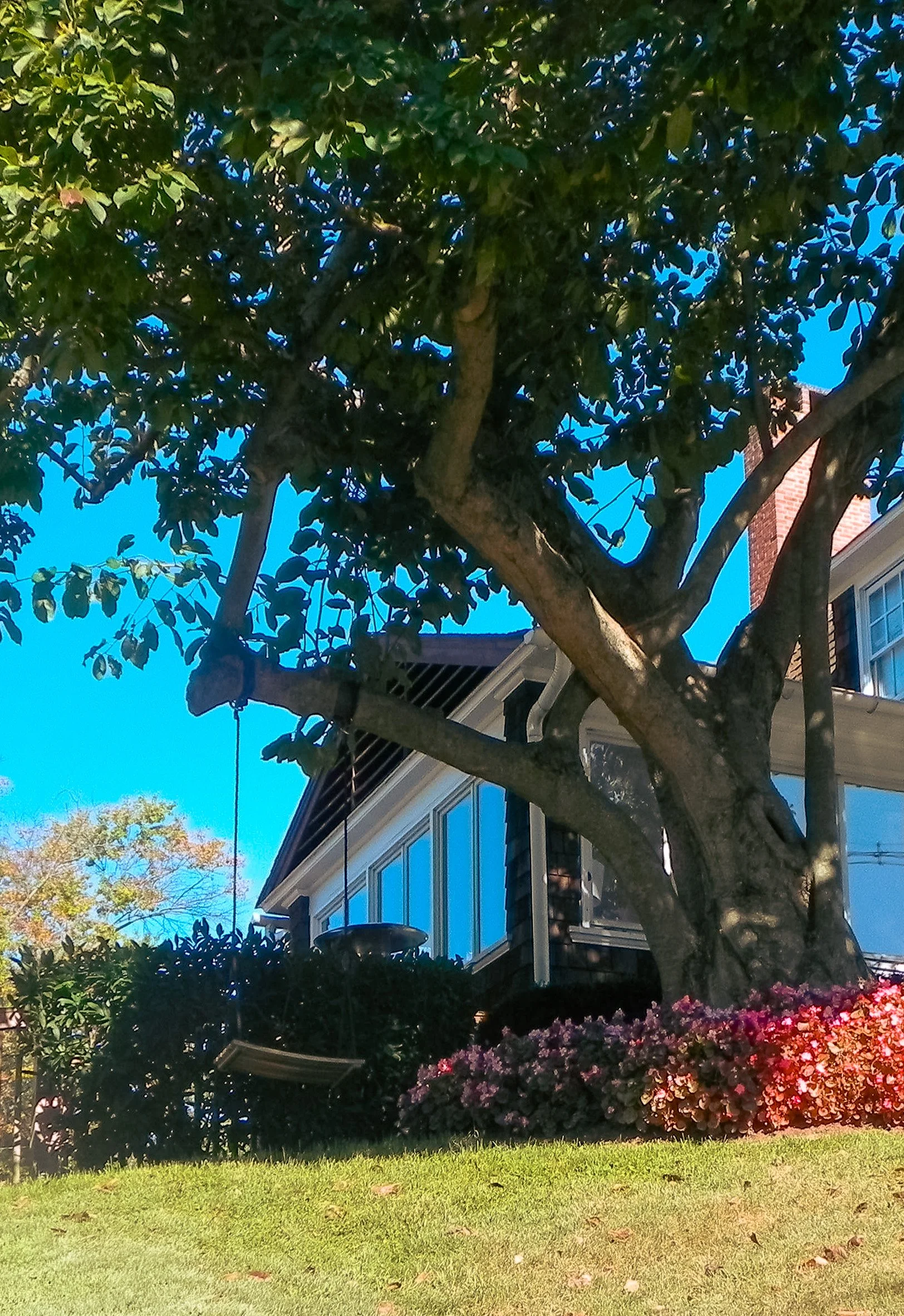 DSCN1750.JPG
