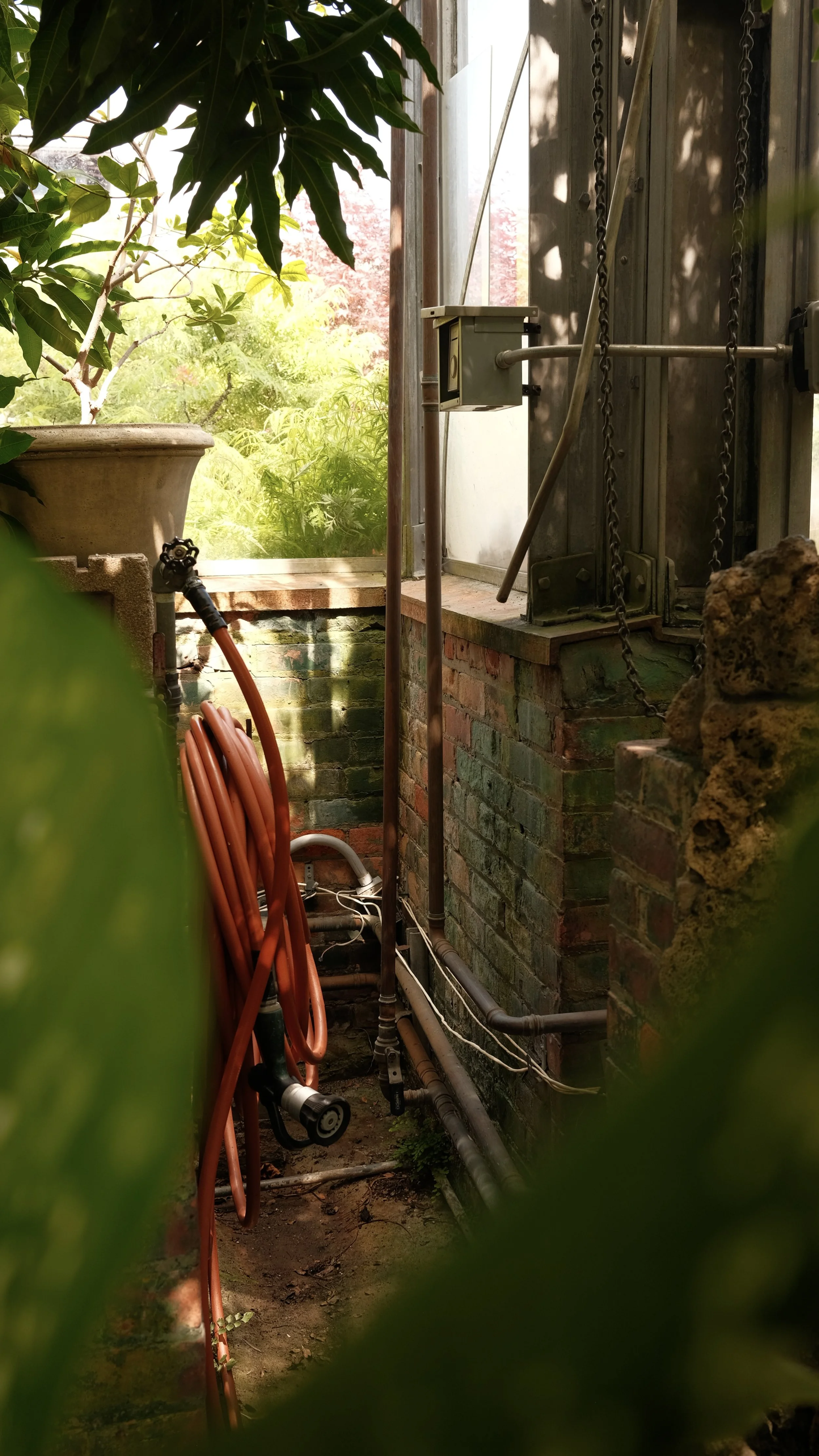 DSCF5136.jpg