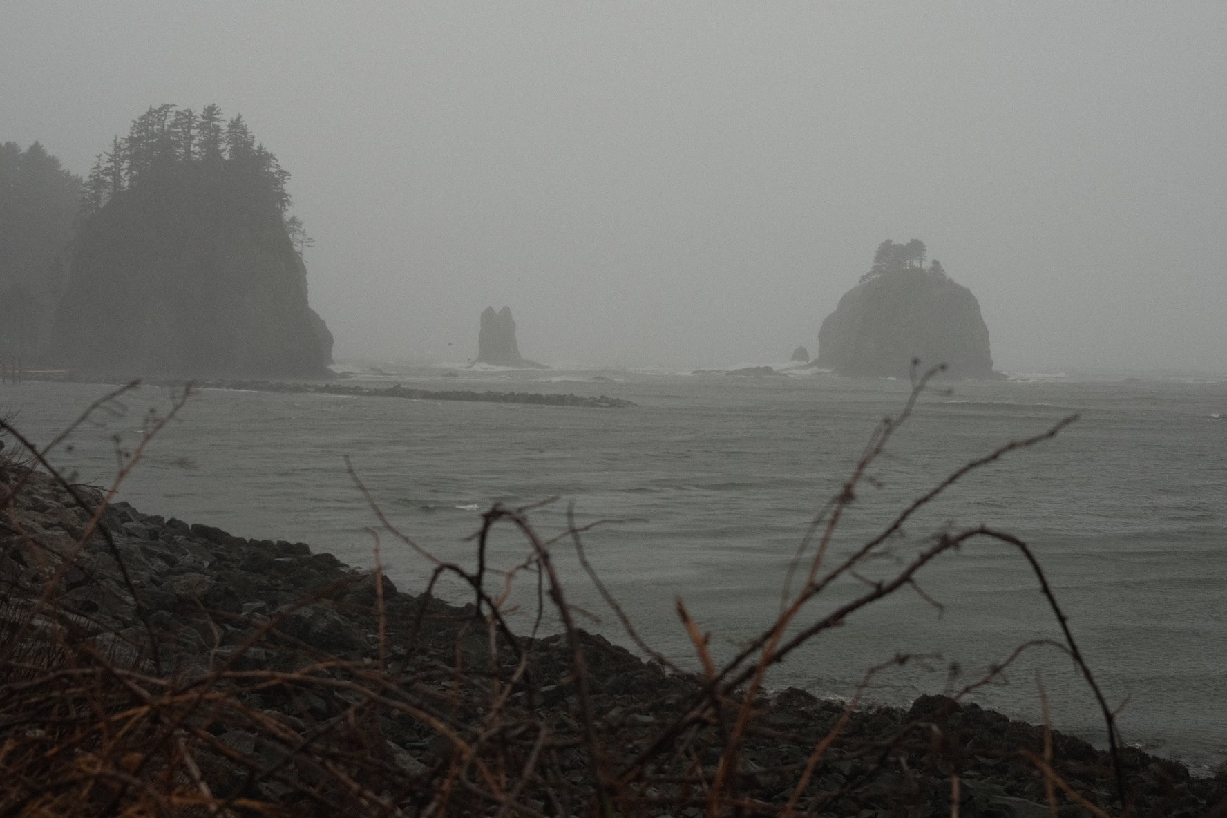 DSCF8327.JPG